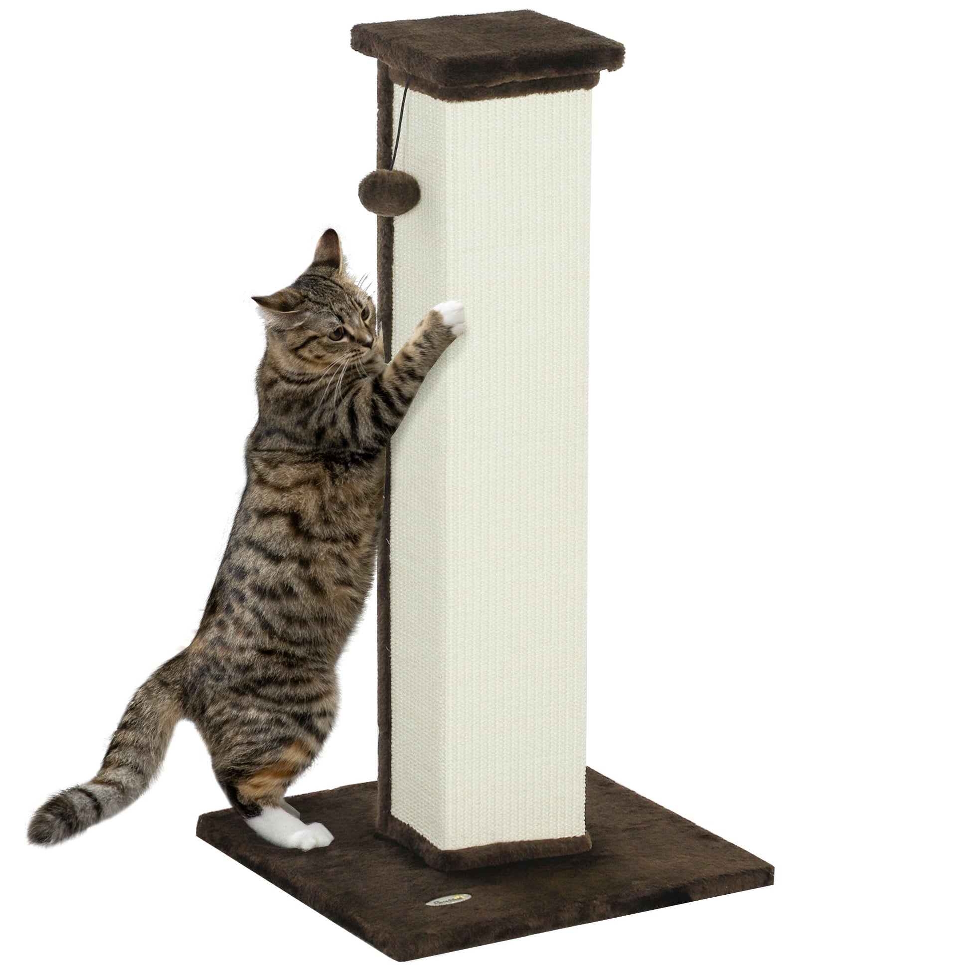 Cat Scratching Post for Indoor Cats, 81cm Cat Scratcher, Vertical Full Scratcher with Natural Sisal Rope, Hanging Ball and Soft Plush, Brown