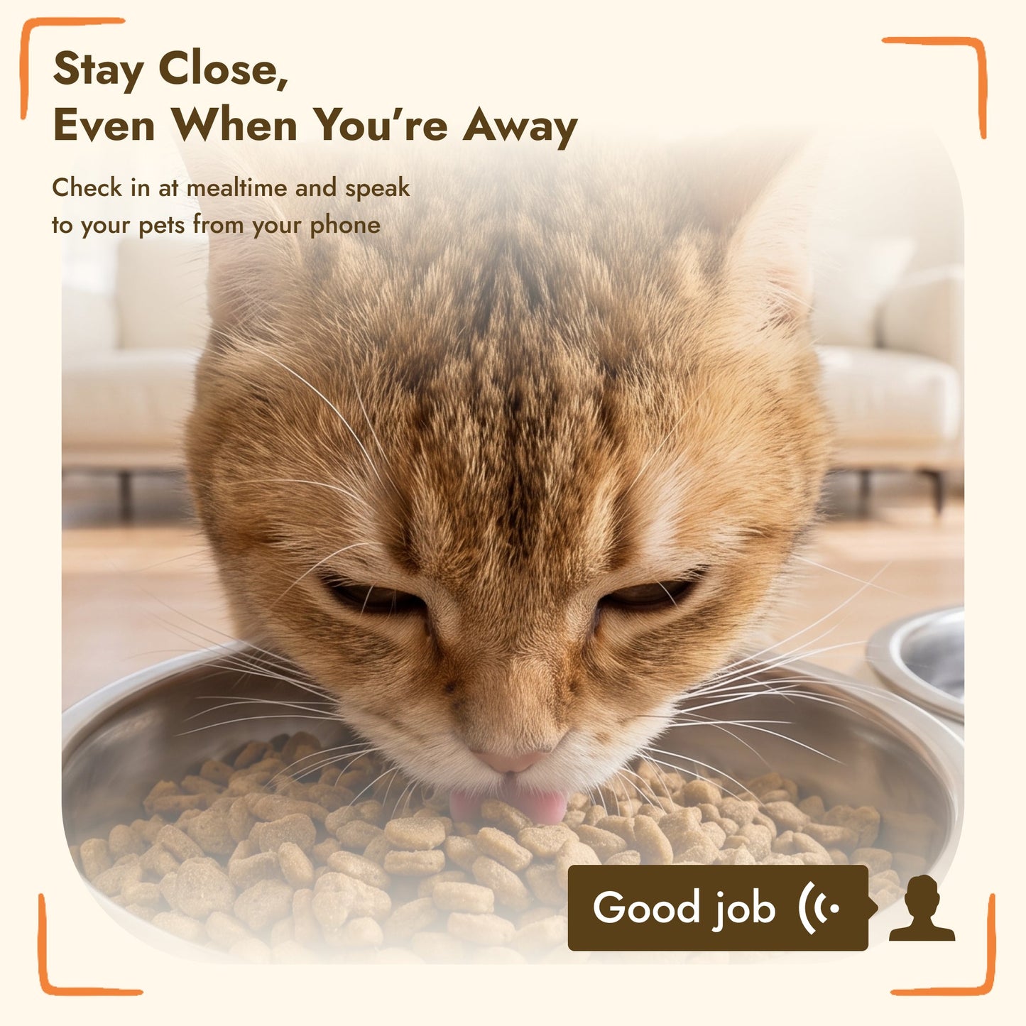 6L Smart Cat Feeder with HD Camera for 2 Cats Dual-band WiFi & App Timed Feeding