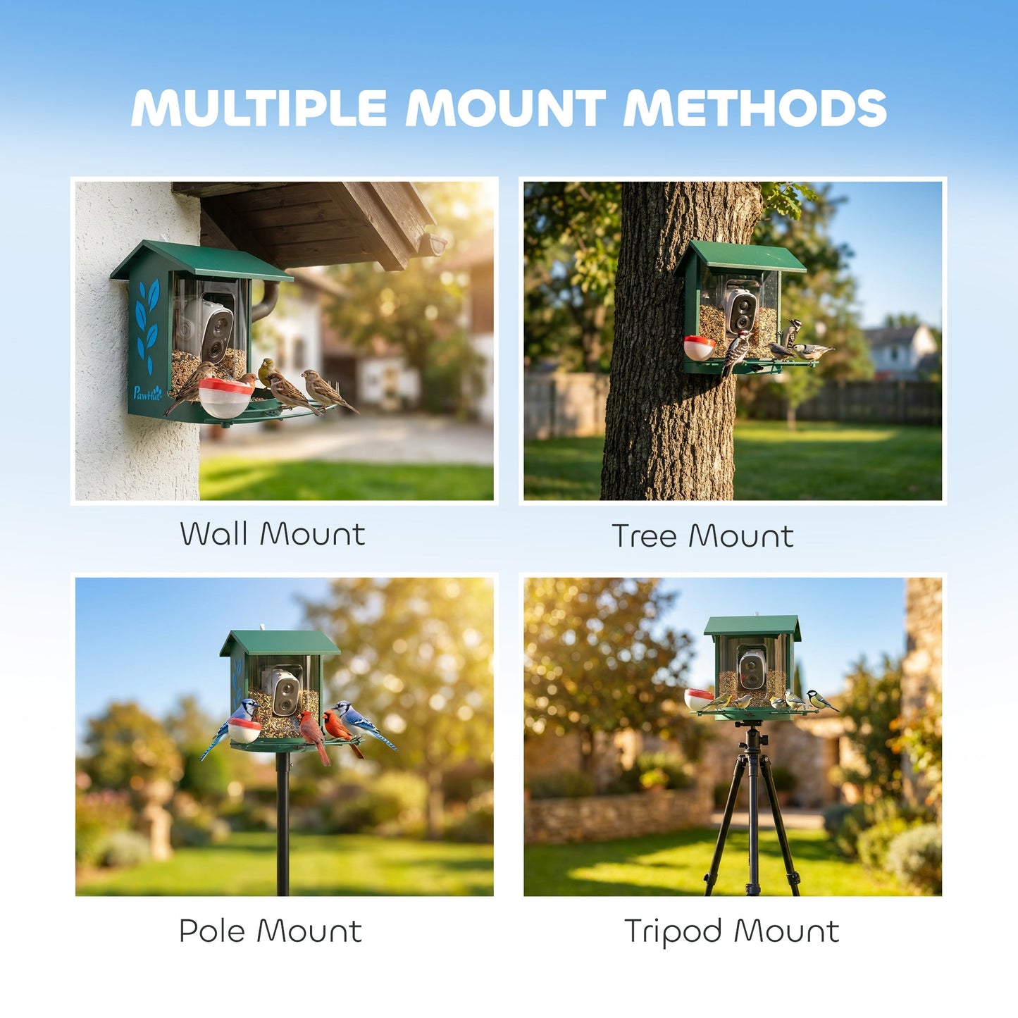 Bird Feeder with Camera, Smart Bird Feeder Camera AI Identifies 16,000+ Species, 2K HD Auto Capture Video, APP Instant Notifications, Hummingbird Feeding Add-ons, 3W Solar Panel, 32GB Card