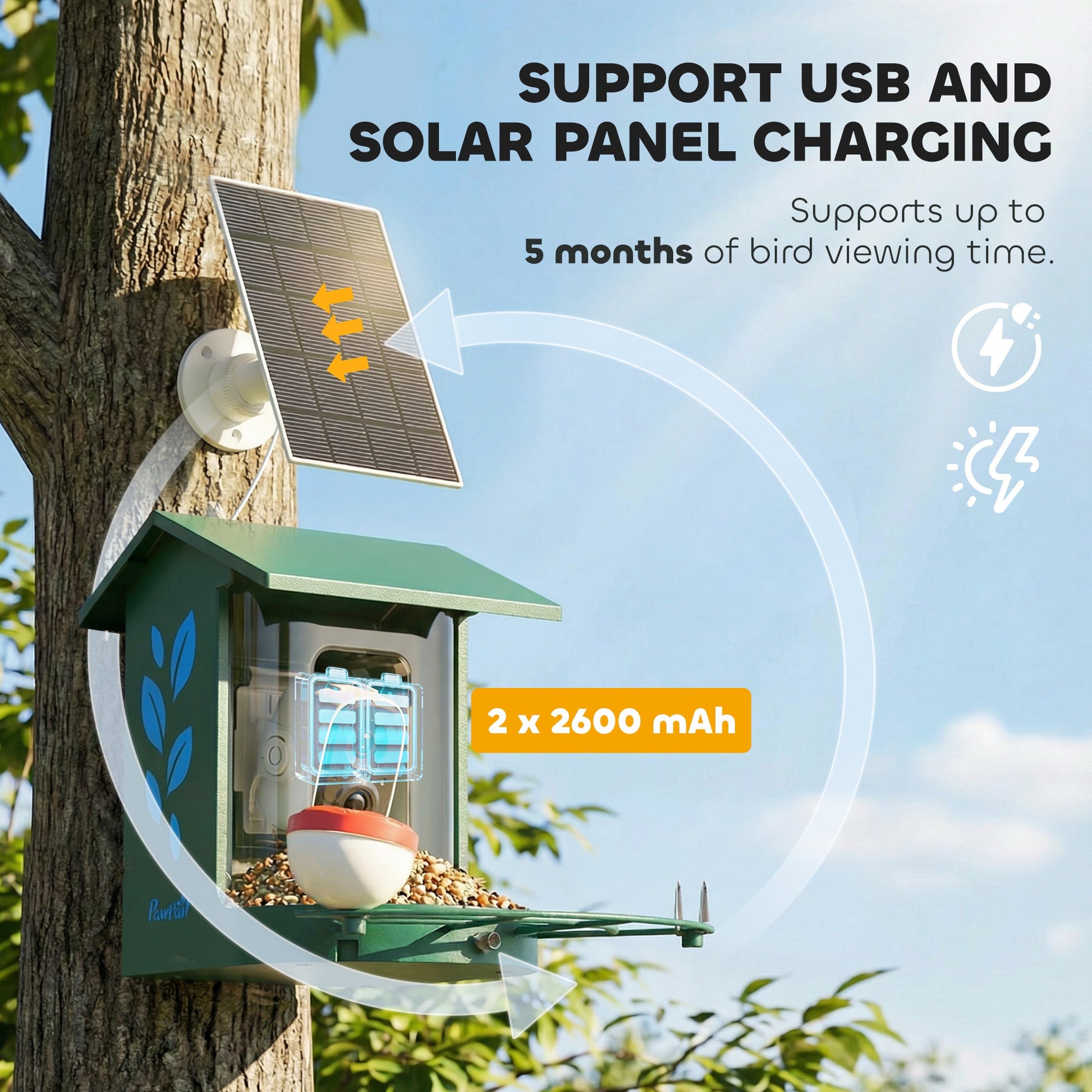 Bird Feeder with Camera, Smart Bird Feeder Camera AI Identifies 16,000+ Species, 2K HD Auto Capture Video, APP Instant Notifications, Hummingbird Feeding Add-ons, 3W Solar Panel, 32GB Card