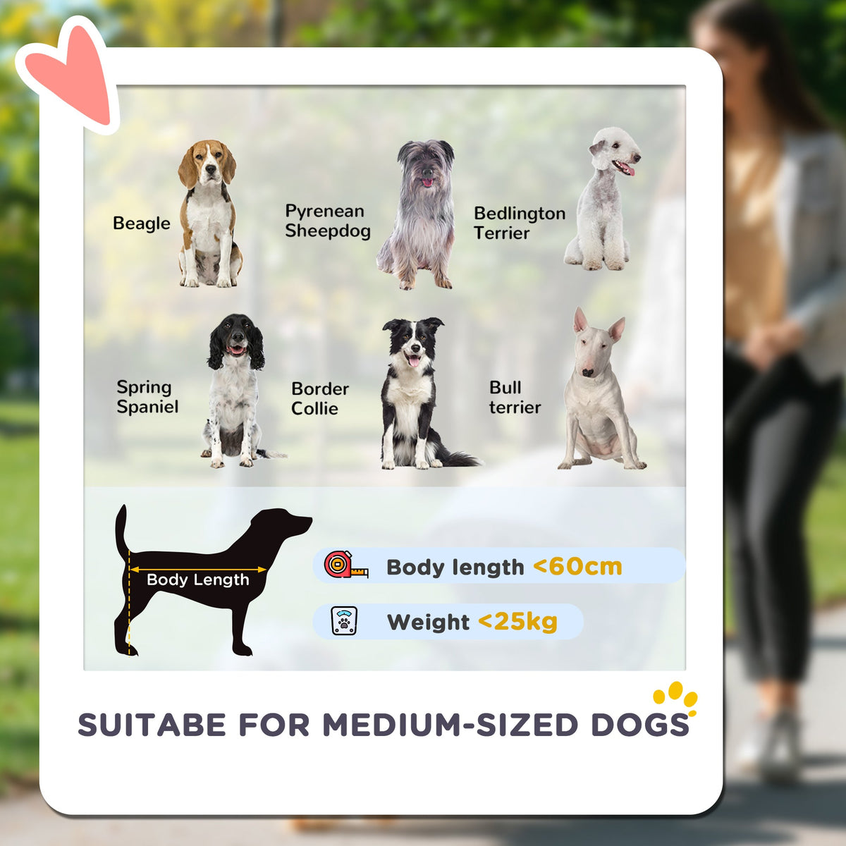 Pet Stroller for Large Dogs with Shock-Absorbing Frame Dark Green