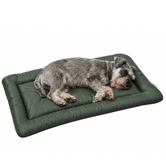 Waterproof Dog Bed, Foldable Pet Bed with Anti-Slip Bottom, Oxford Fabric, Machine Washable, Scratch Resistant Outdoor for Small Dogs and Cats, 90L x 60W x 5H cm, Green