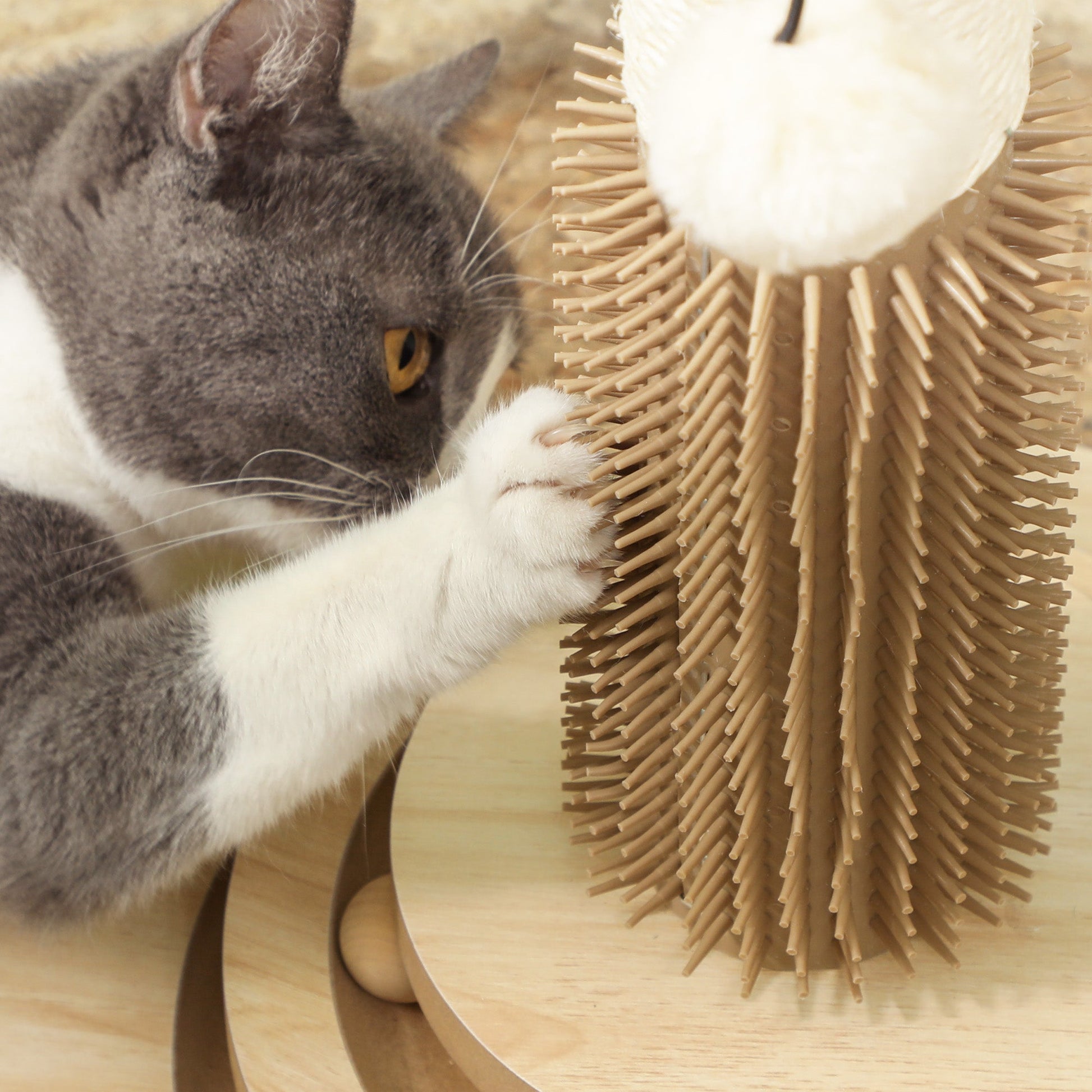 Cat Scratching Post, 49cm Cat Scratcher with Sisal Post, Interactive Track Ball Toy, Self Grooming Brush, Hanging Toy Ball, Feather, 5 in 1 Small Kitten Cat Scratch post, Oak Tone