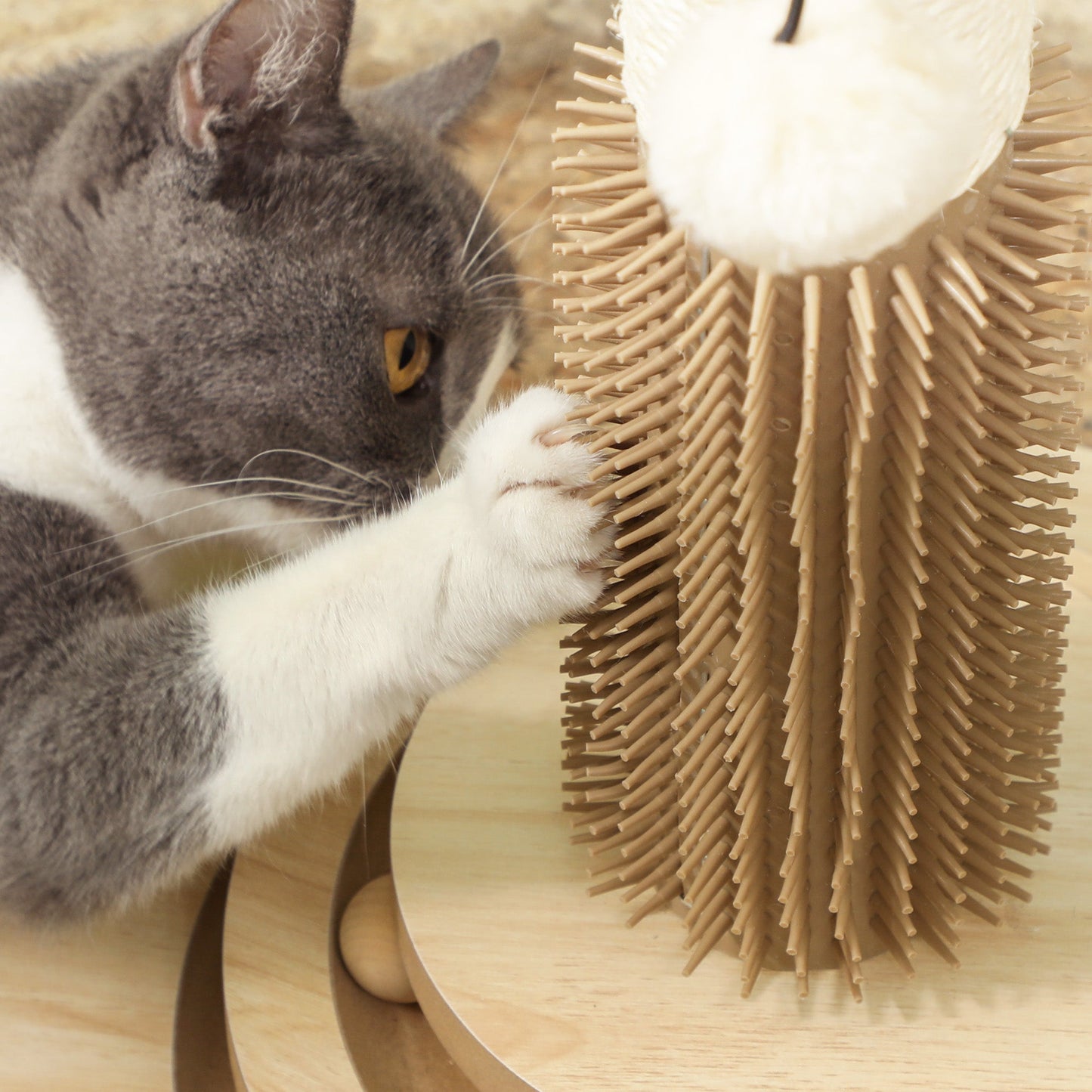 Cat Scratching Post, 49cm Cat Scratcher with Sisal Post, Interactive Track Ball Toy, Self Grooming Brush, Hanging Toy Ball, Feather, 5 in 1 Small Kitten Cat Scratch post, Oak Tone