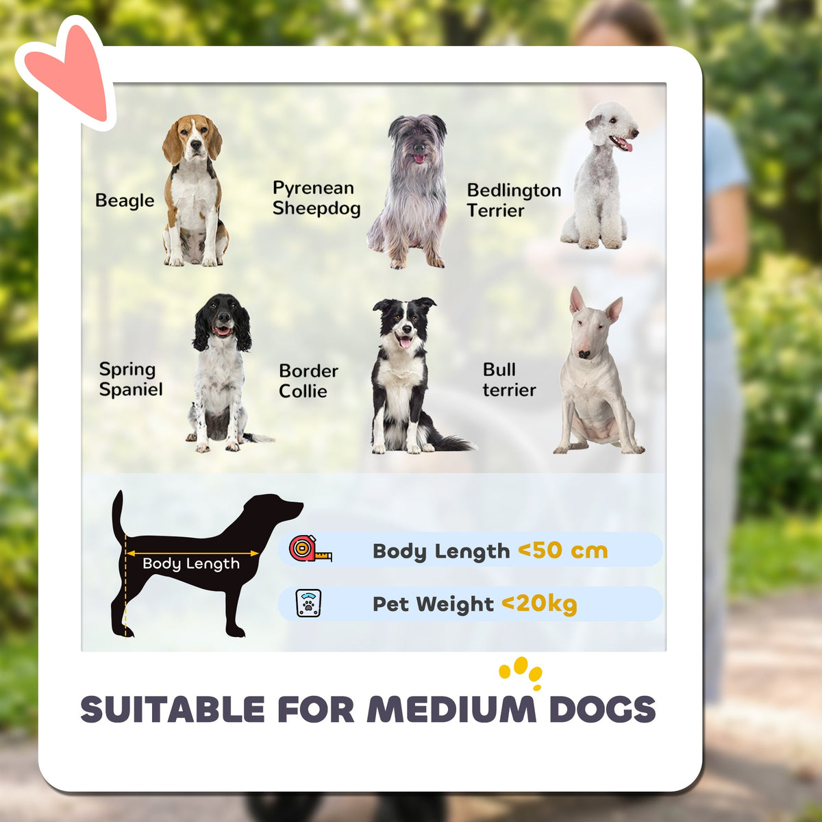 Dog Stroller, Pet Stroller for Small and Medium Dogs, Foldable Puppy Pram Pet Pushchair with 2 Big Wheels, Shock-Absorbing Frame, Seat Leashes, Brakes, Maximum Load 20 kg, Grey
