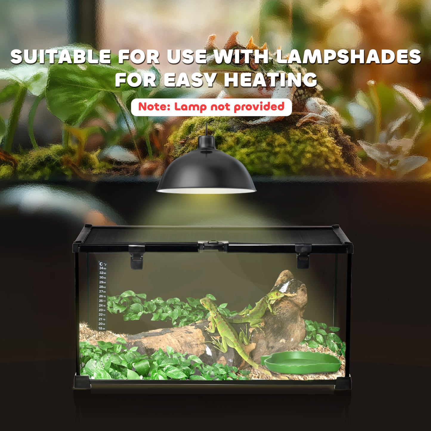 Glass Reptile Terrarium Insect Breeding Tank Vivarium Habitats with Thermometer for Lizards, Horned Frogs, Snakes, Spiders - Medium 50 x 30 x 25cm