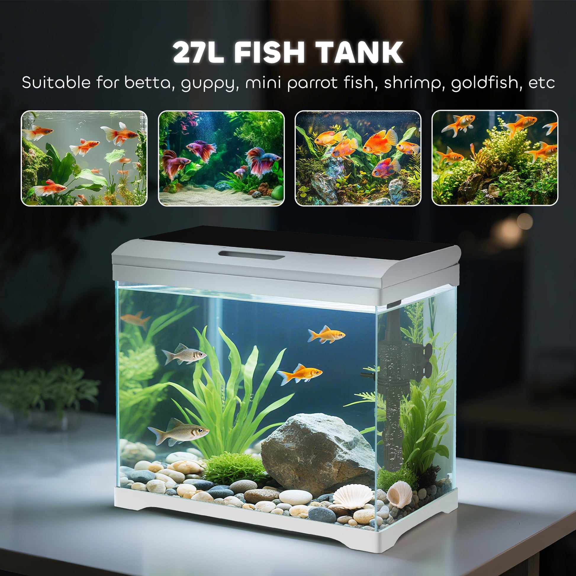 27L Fish Tank, Glass Aquarium with Filter System, LED Light, Water Pump, Fish Tank Starter Kits for Betta, Goldfish, Shrimps, White