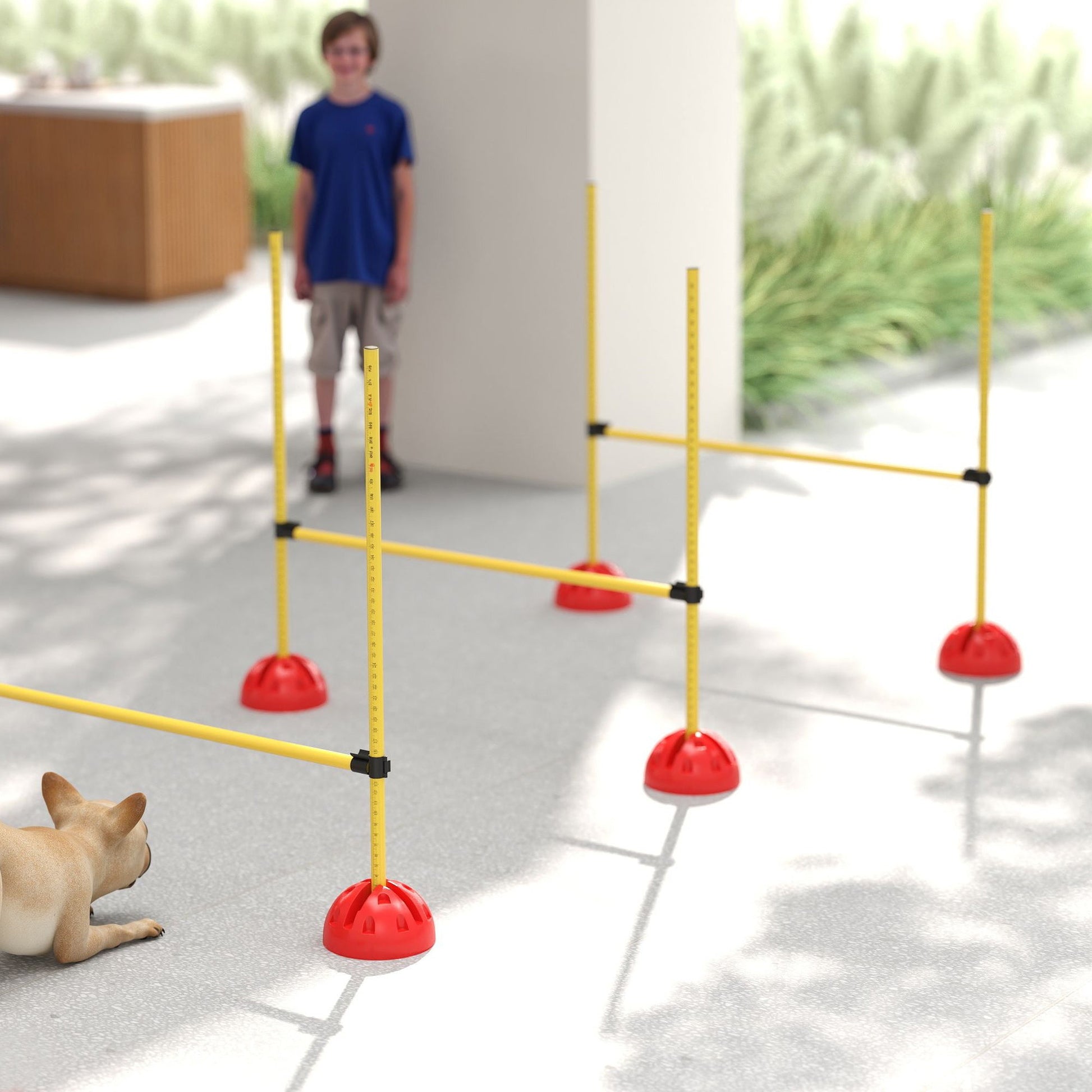 4 Piece Agility Training Equipment for Dogs with Height Adjustable Jump Hurdle, Bag, Portable, Easy Assemble Dog Outdoor Obstacle Course for Training