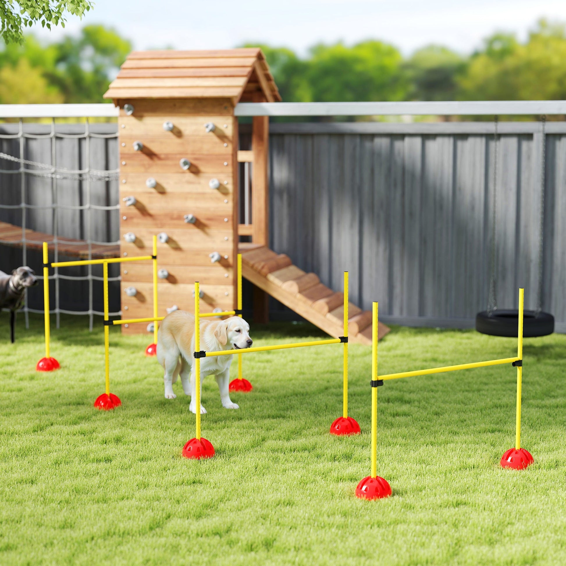 4 Piece Agility Training Equipment for Dogs with Height Adjustable Jump Hurdle, Bag, Portable, Easy Assemble Dog Outdoor Obstacle Course for Training