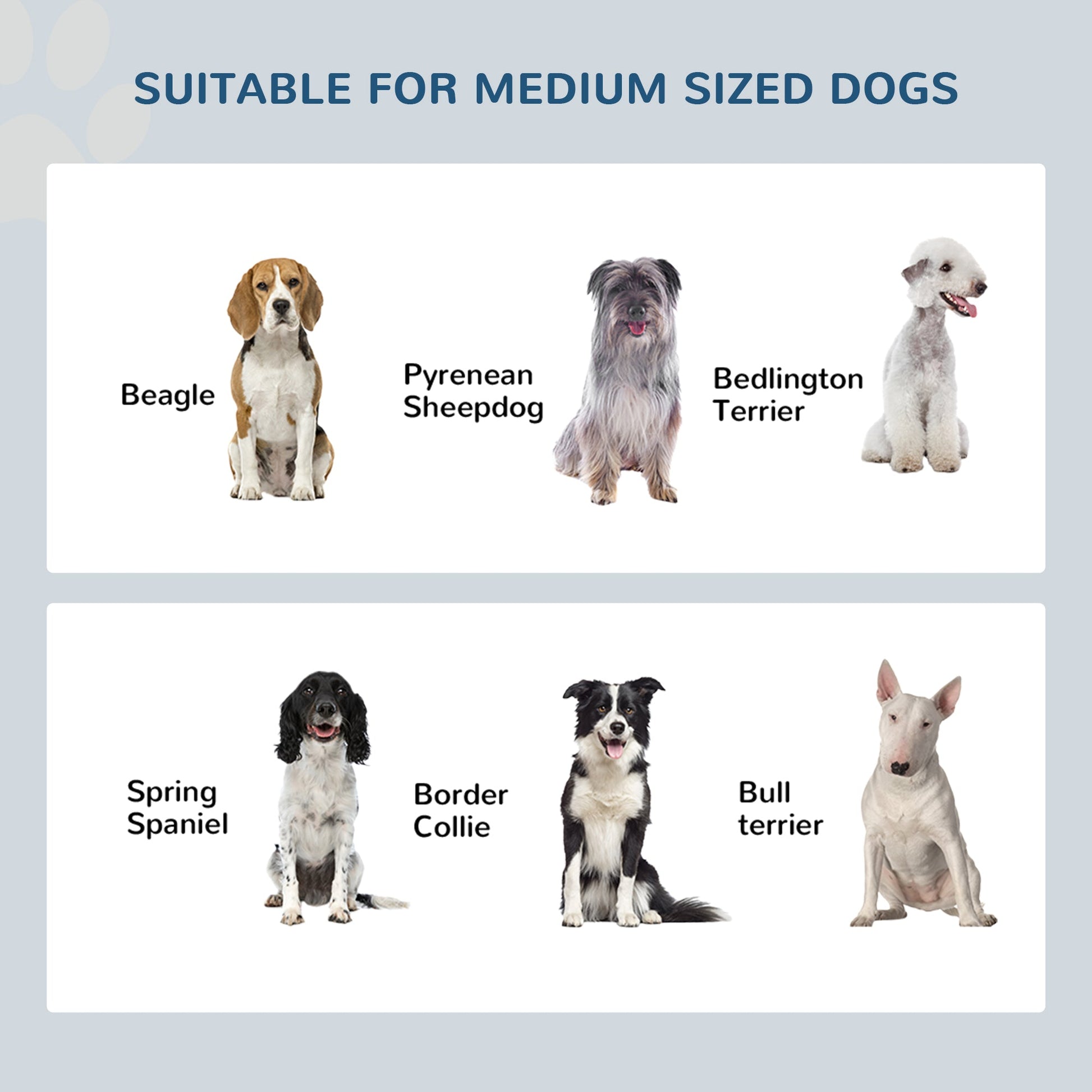 Raised Dog Bowl Feeding Bowls with Stand for Medium Dogs Elevated Pet Bowls Water Food Feeder 58L x 31W x 25H cm - Grey