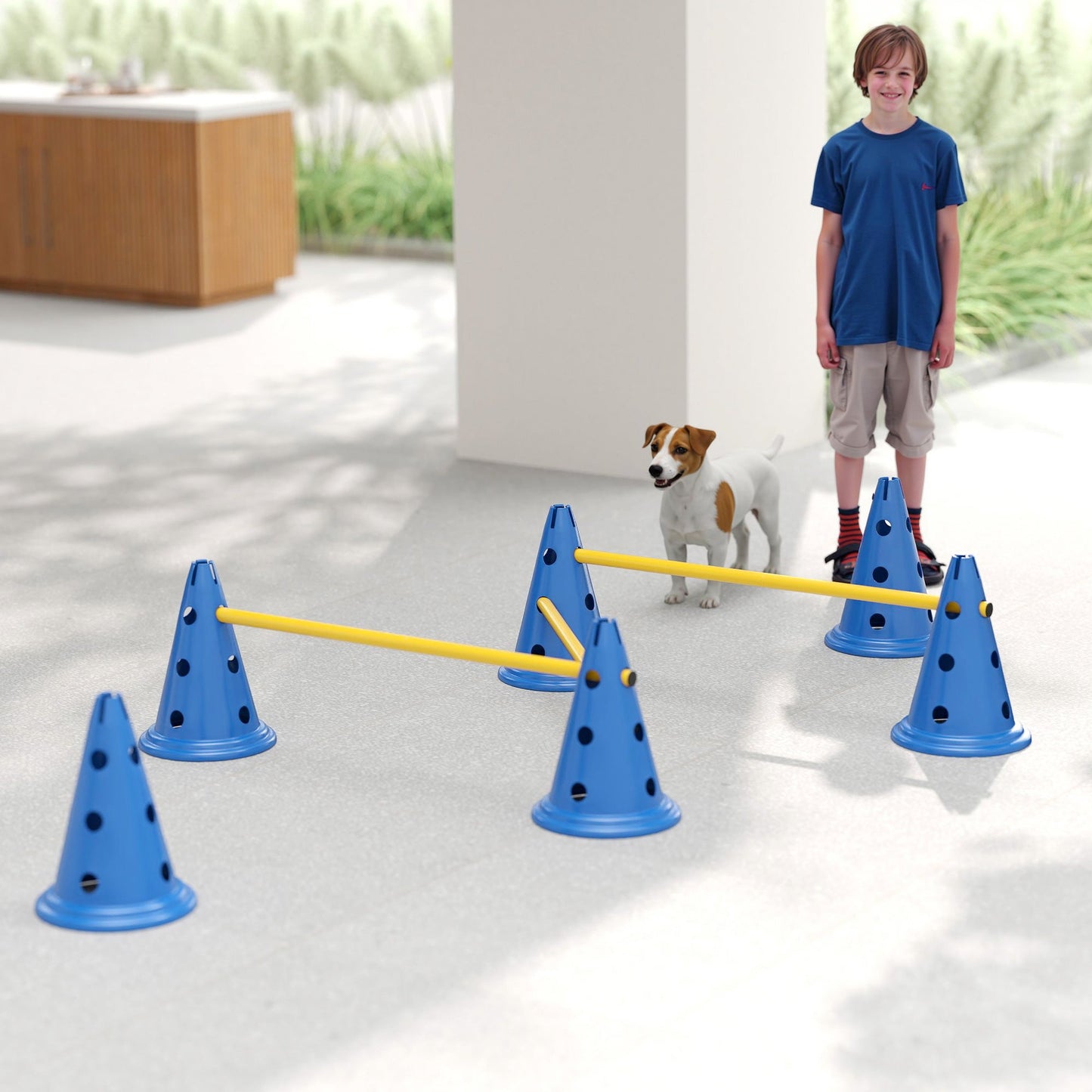 Dog Agility Equipment Set, Portable Pet Jump Training Kit for Six Cones, Six Poles with Carry Bag, Three-Piece Adjustable Height Jumping Obstacles, Blue