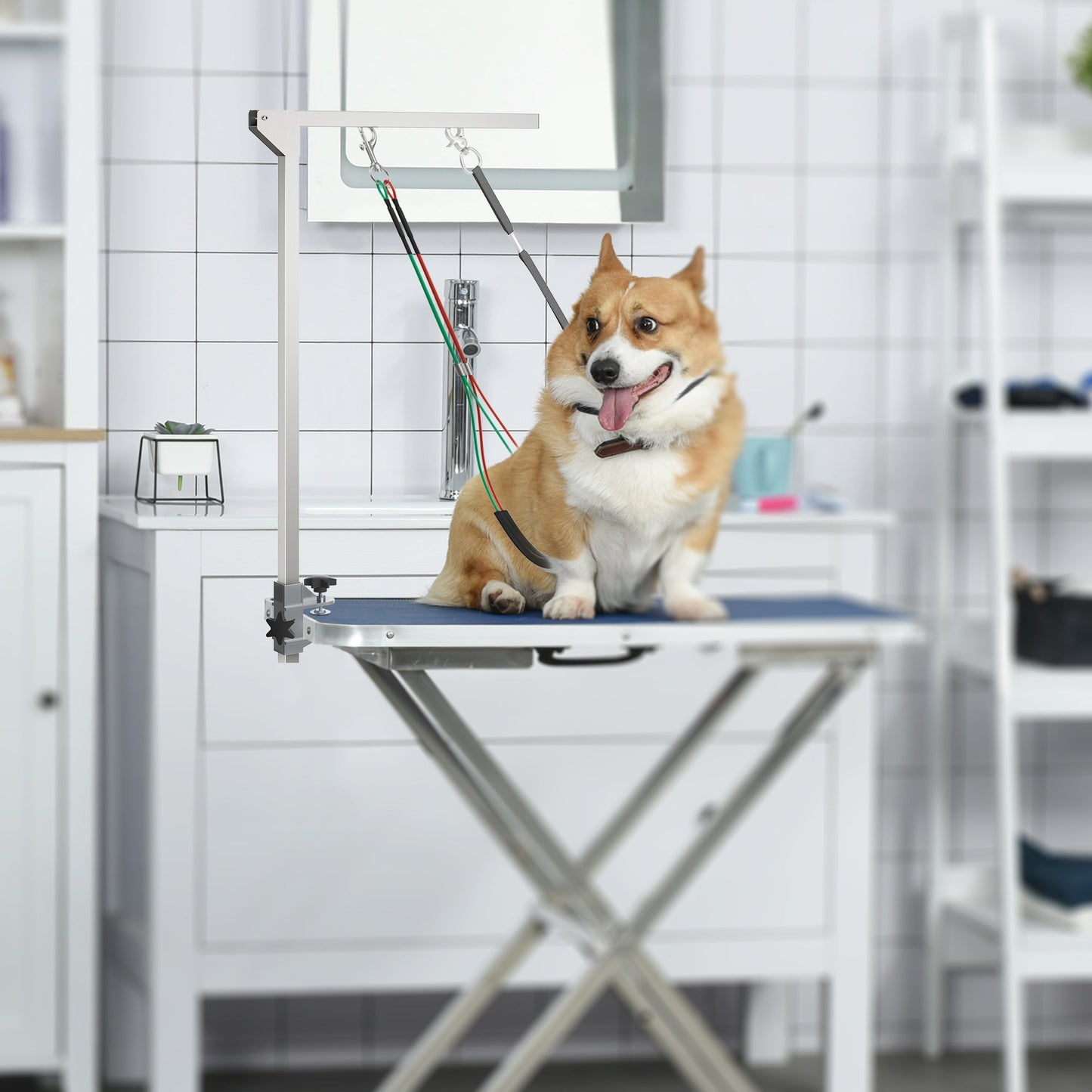 Foldable Pet Grooming Arm w/ Clamp 30 Inch Height Adjustable, Dog Grooming Loop, Two No Sit Haunch Holders for Small Medium Dogs, Sliver