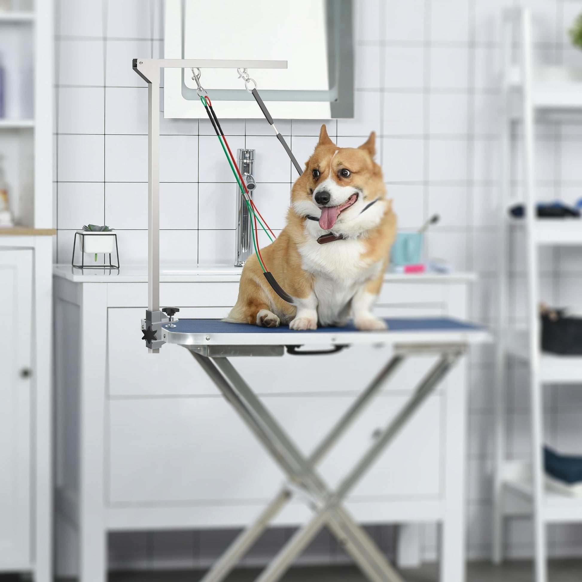 Foldable Pet Grooming Arm w/ Clamp 30 Inch Height Adjustable, Dog Grooming Loop, Two No Sit Haunch Holders for Small Medium Dogs, Sliver