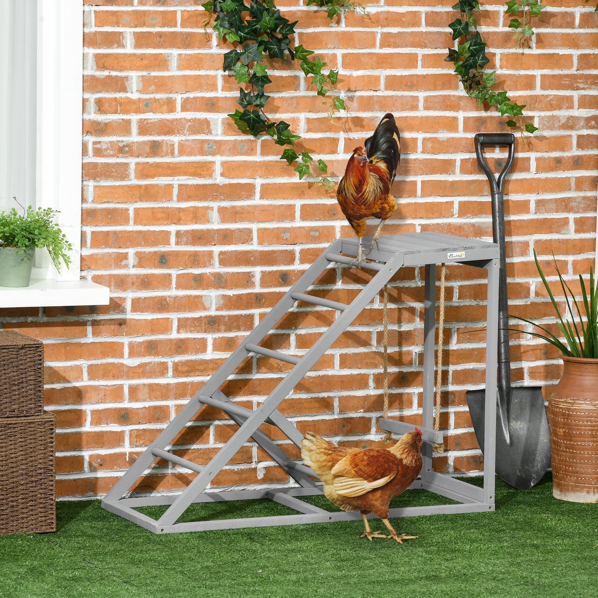 Chicken Activity Play Set with Swing, Chicken Coop Toy with Ladder, Platform for 2 Chickens, Hens, Grey