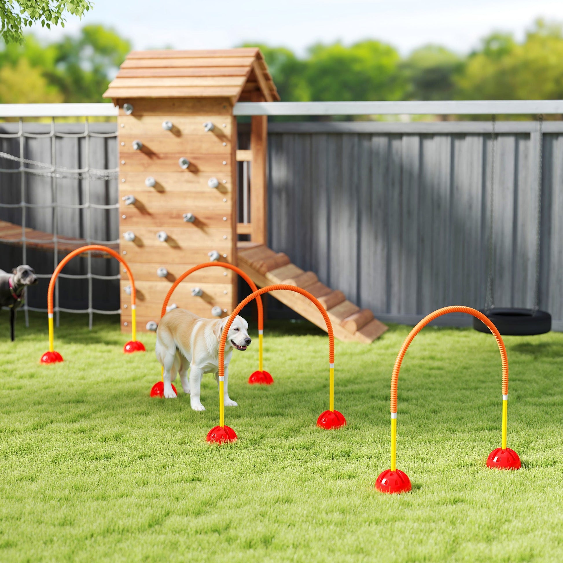 4 Piece Dog Agility Training Equipment with 4 Adjustable Width Doors, Carry Bag, Easy to Assemble, Dog Obstacle Course for Garden, Orange