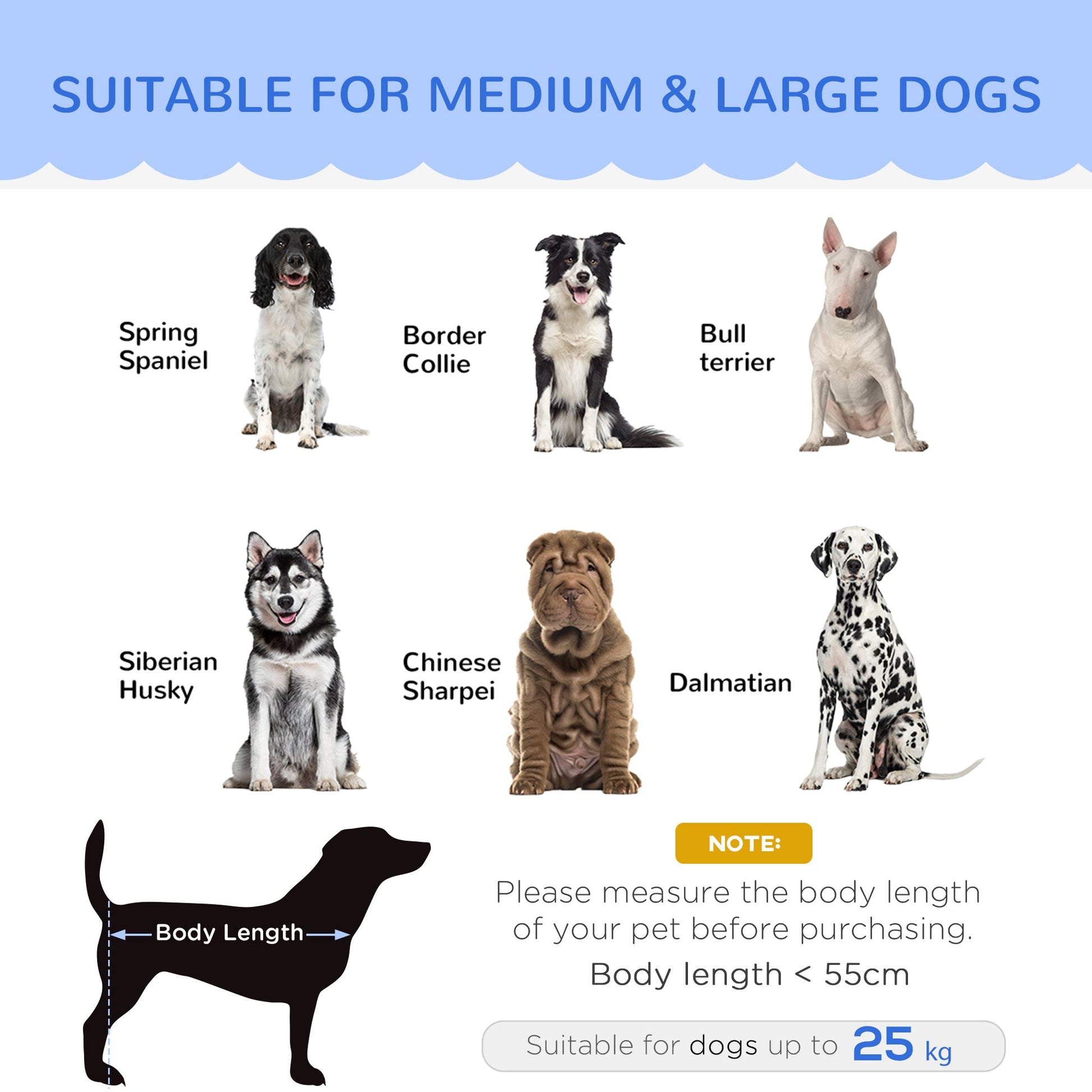 Dog Sofa for Medium, Large Dogs, Shell Shaped Pet Couch Bed w/ Legs, Cushion, Washable Cover - Grey