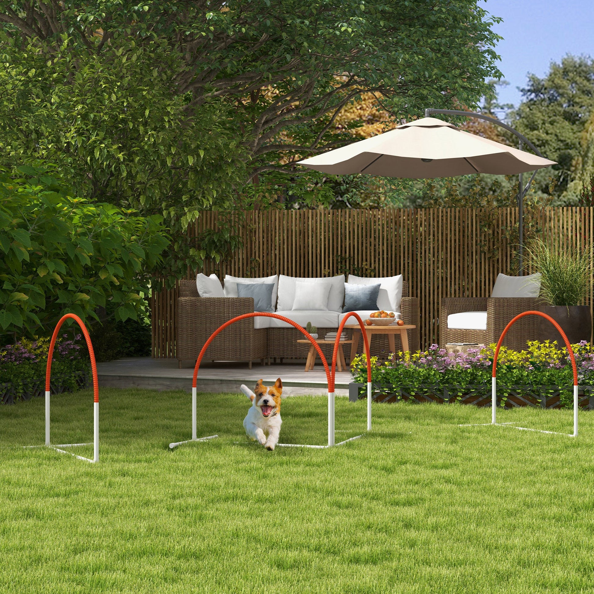 Dog Agility Equipment Set, Dog Agility Training Equipment for Dogs with Oxford Carry Bag, 4 PCS Weave Poles, Dog Obstacle Course, Pet Outdoor Games, Orange