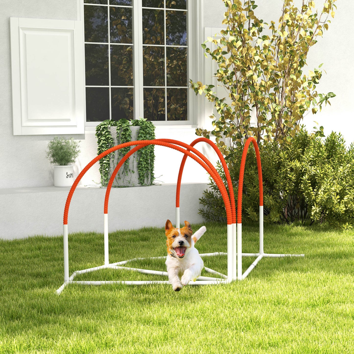 Dog Agility Equipment Set, Dog Agility Training Equipment for Dogs with Oxford Carry Bag, 4 PCS Weave Poles, Dog Obstacle Course, Pet Outdoor Games, Orange