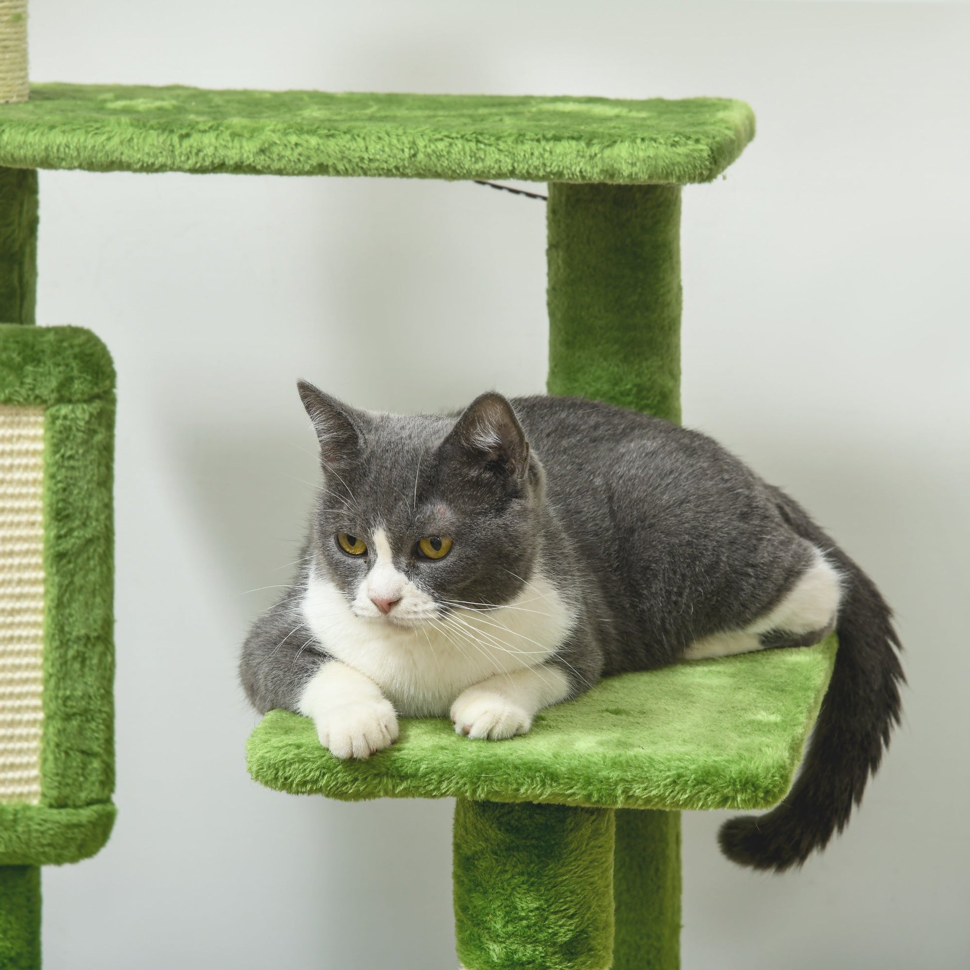 142cm Cat Tree for Indoor Cats, Cat Tower with Scratching Posts, Scratch Board, Hammock, Toy Balls, Multi-level Platforms, Green