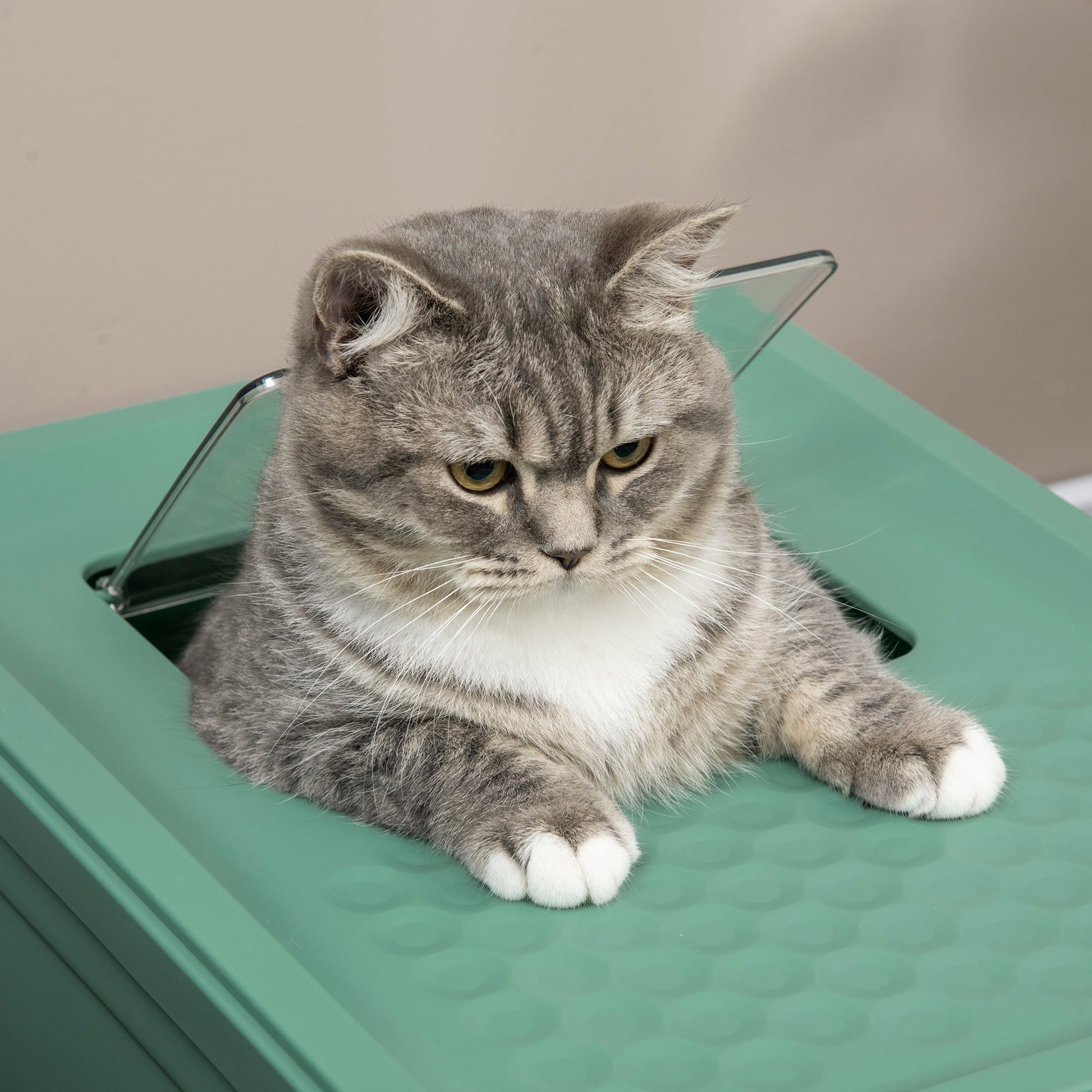 Cat Litter Tray with Hood Enclosed Cat Litter Box Pet Toilet w/ Lid, Scoop, Front Entry, 47.5 x 35.5 x 36.7cm - Green