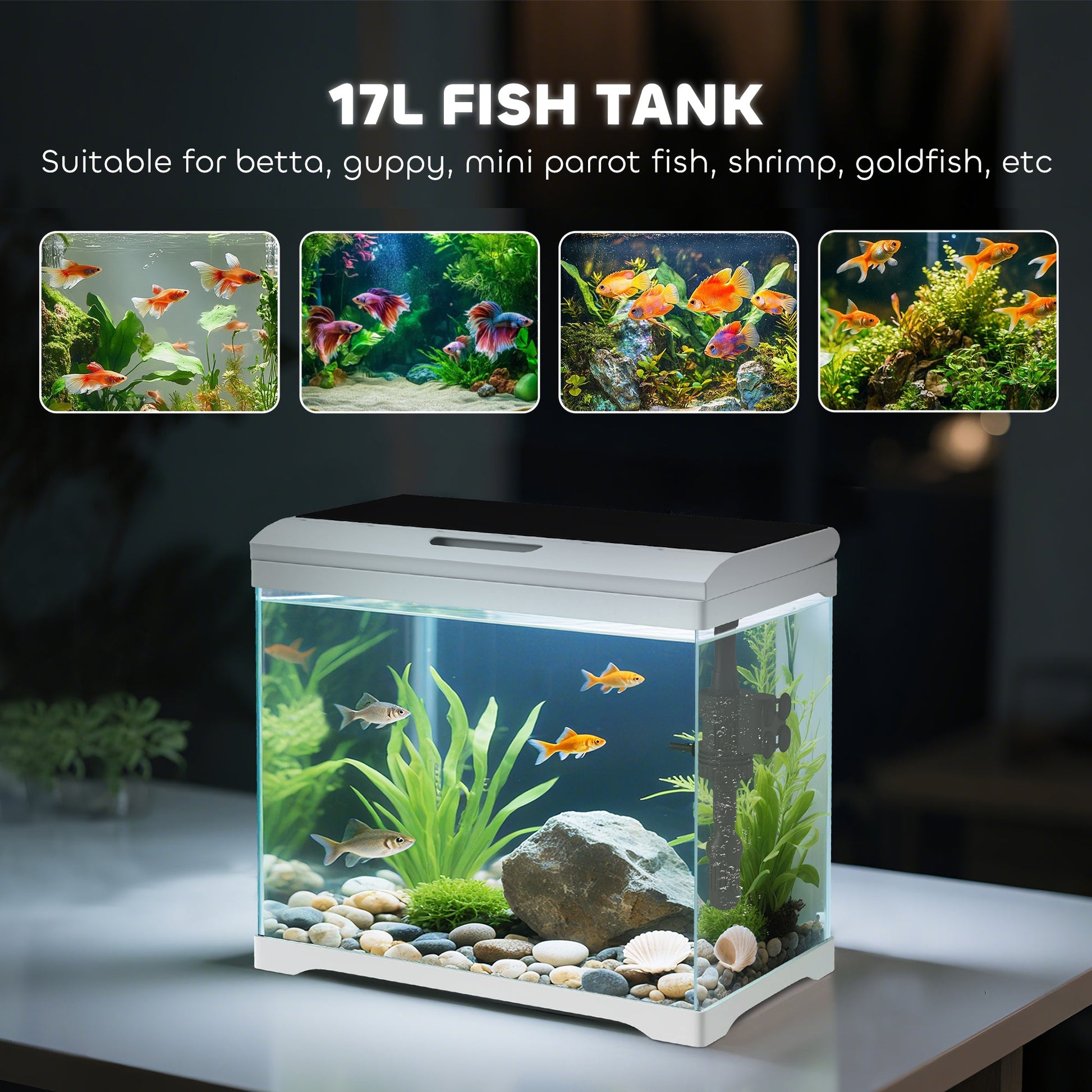 17L Fish Tank, Glass Aquarium with Filter System, LED Light, Water Pump, Fish Tank Starter Kits for Betta, Goldfish, Shrimps, White