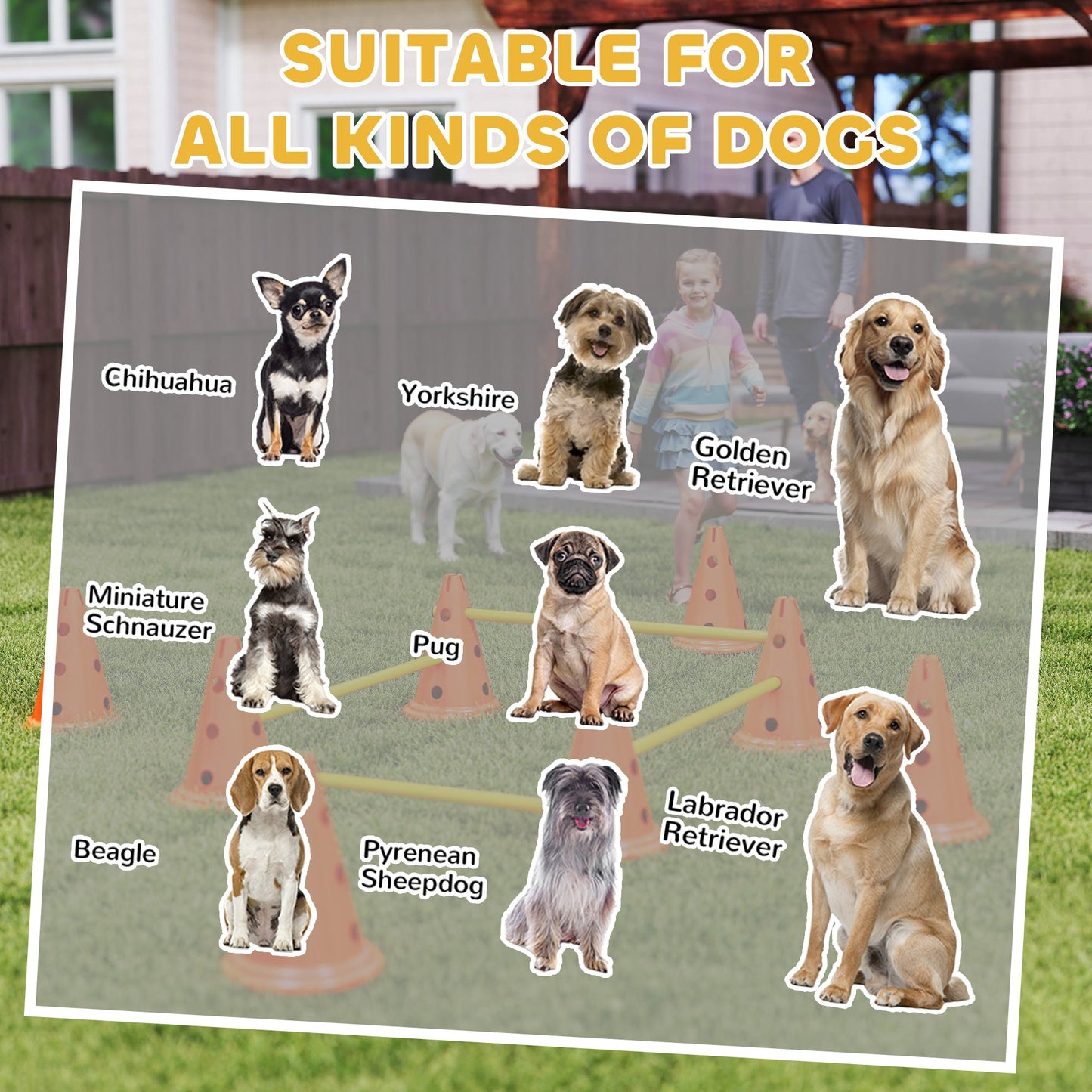 Dog Agility Equipment Set, Portable Pet Jump Training Kit for Eight Cones, Eight Poles with Carry Bag, Four-Piece Adjustable Height Jumping Obstacles, Orange