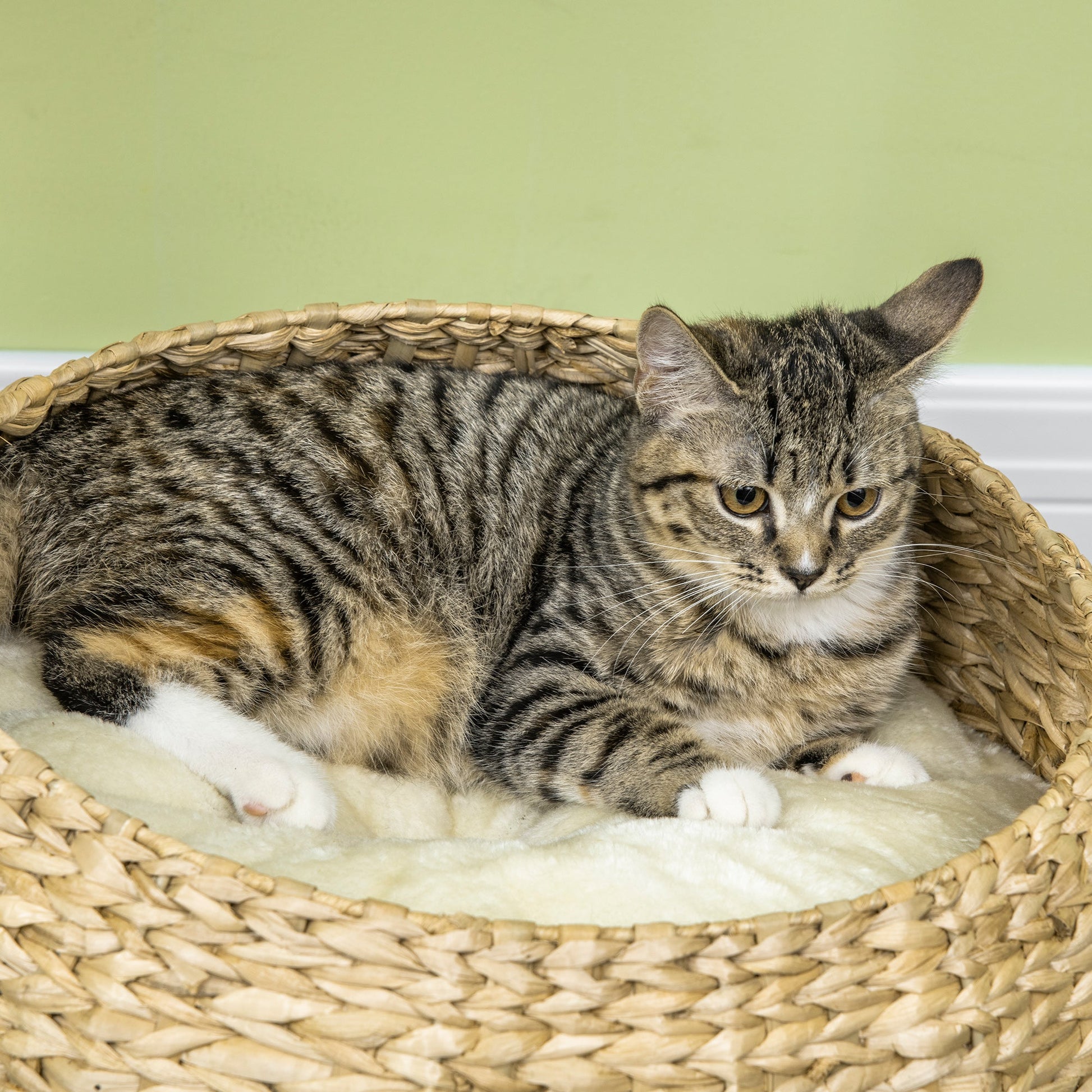 72cm Cat Tree with 2 Beds, Cat Tower with Scratching Post, Toy Ball for for Indoor Kittens - Beige