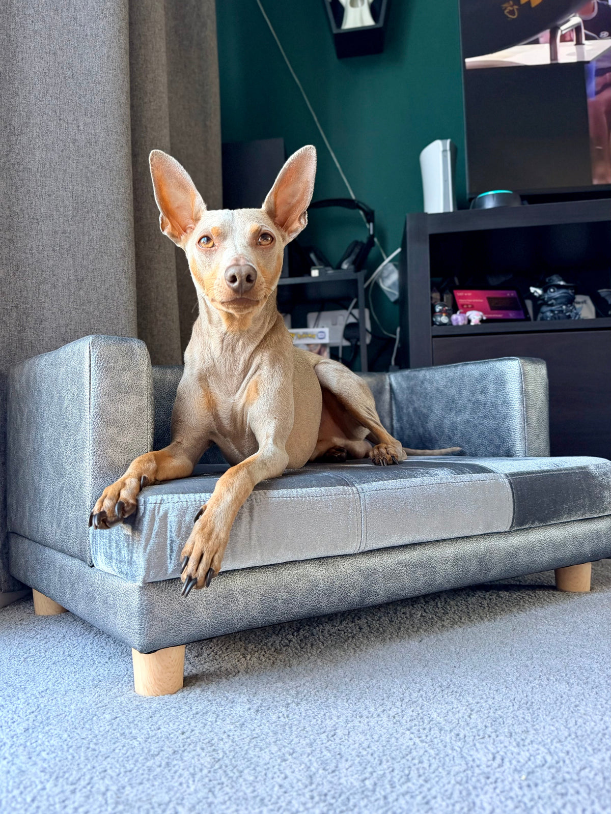 Dog Sofa Bed for Small-Sized Dogs with PU Cove Grey