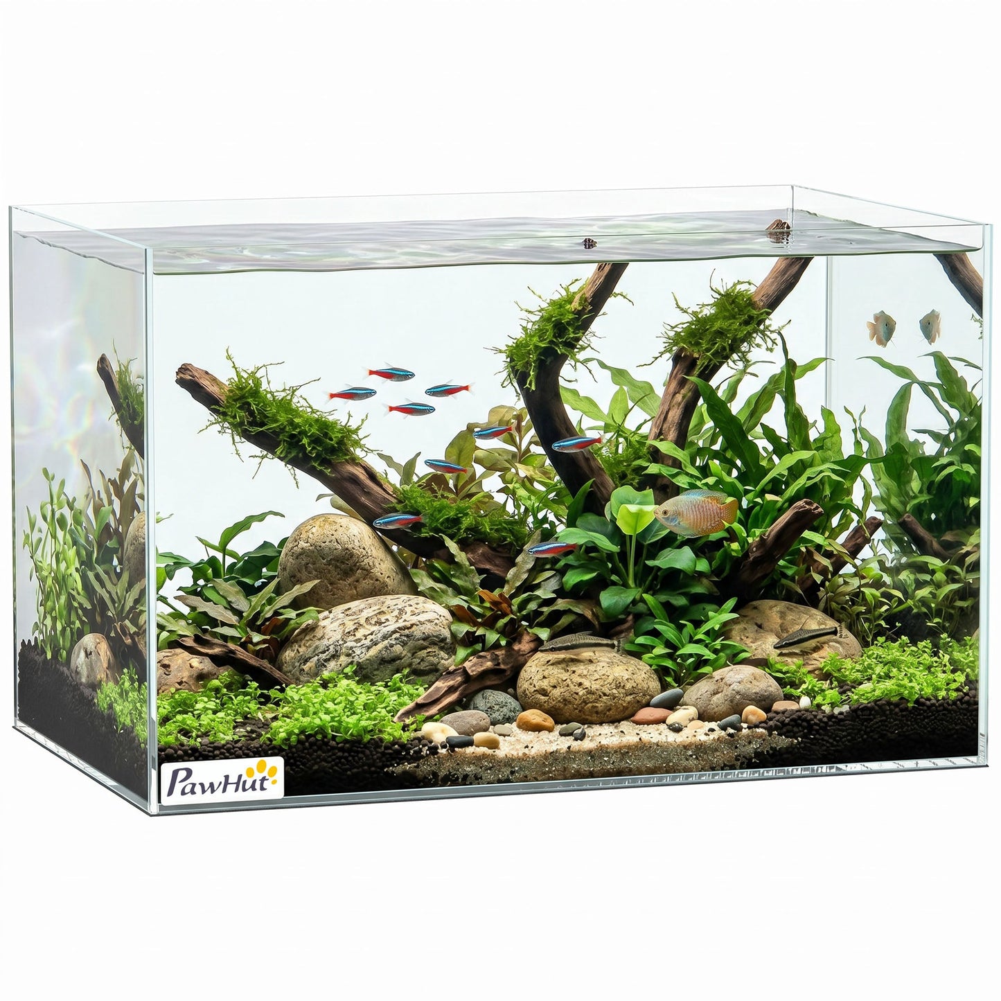 24L Fish Tank, Glass Aquarium, Small Fish Tank with Protective Base Mat, for Shrimps, Turtles, Transparent, 40 x 25 x 25 cm