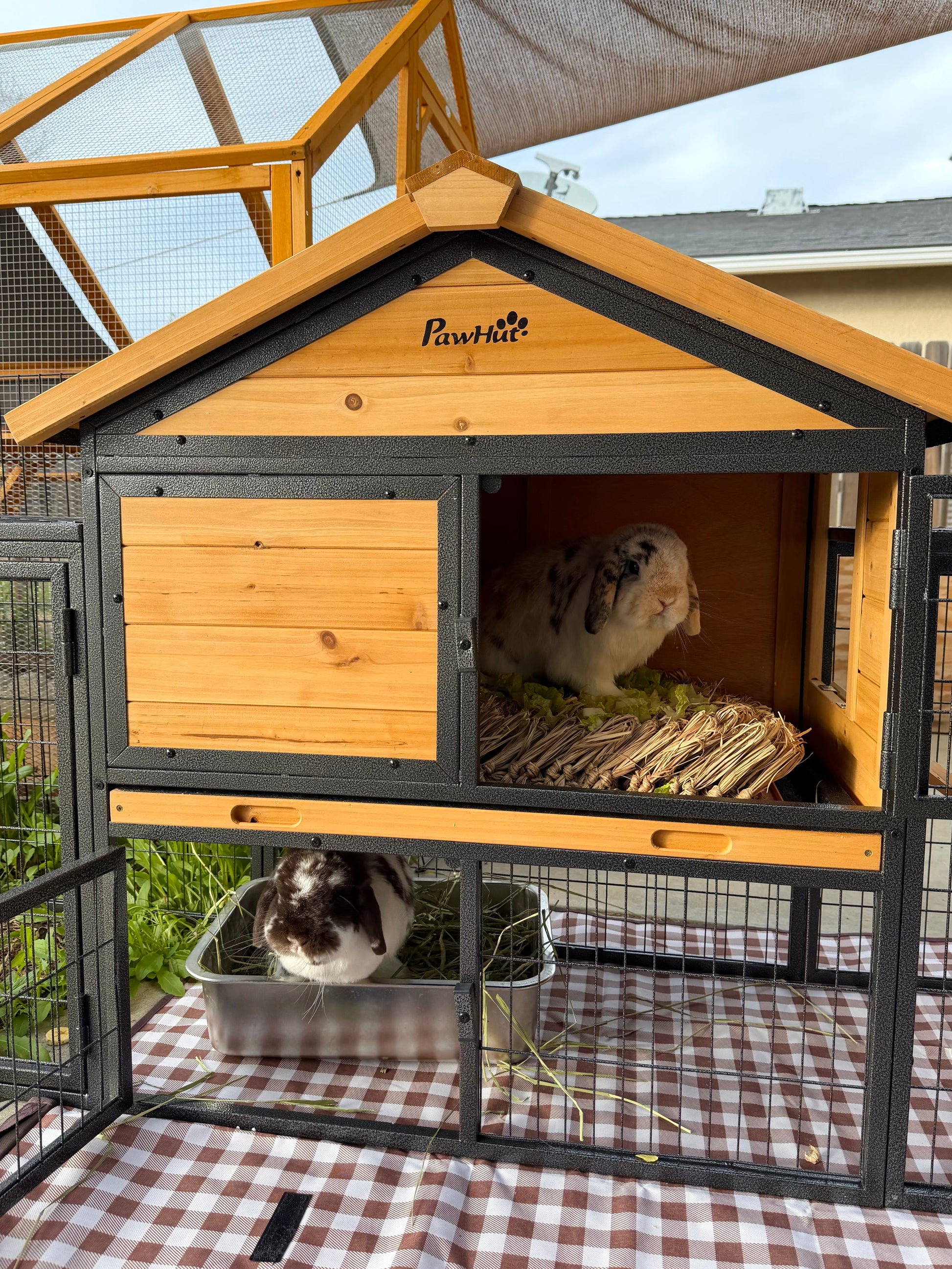 Large Rabbit Hutch with 2 Runs Ramp Tray & Asphalt Roof Yellow