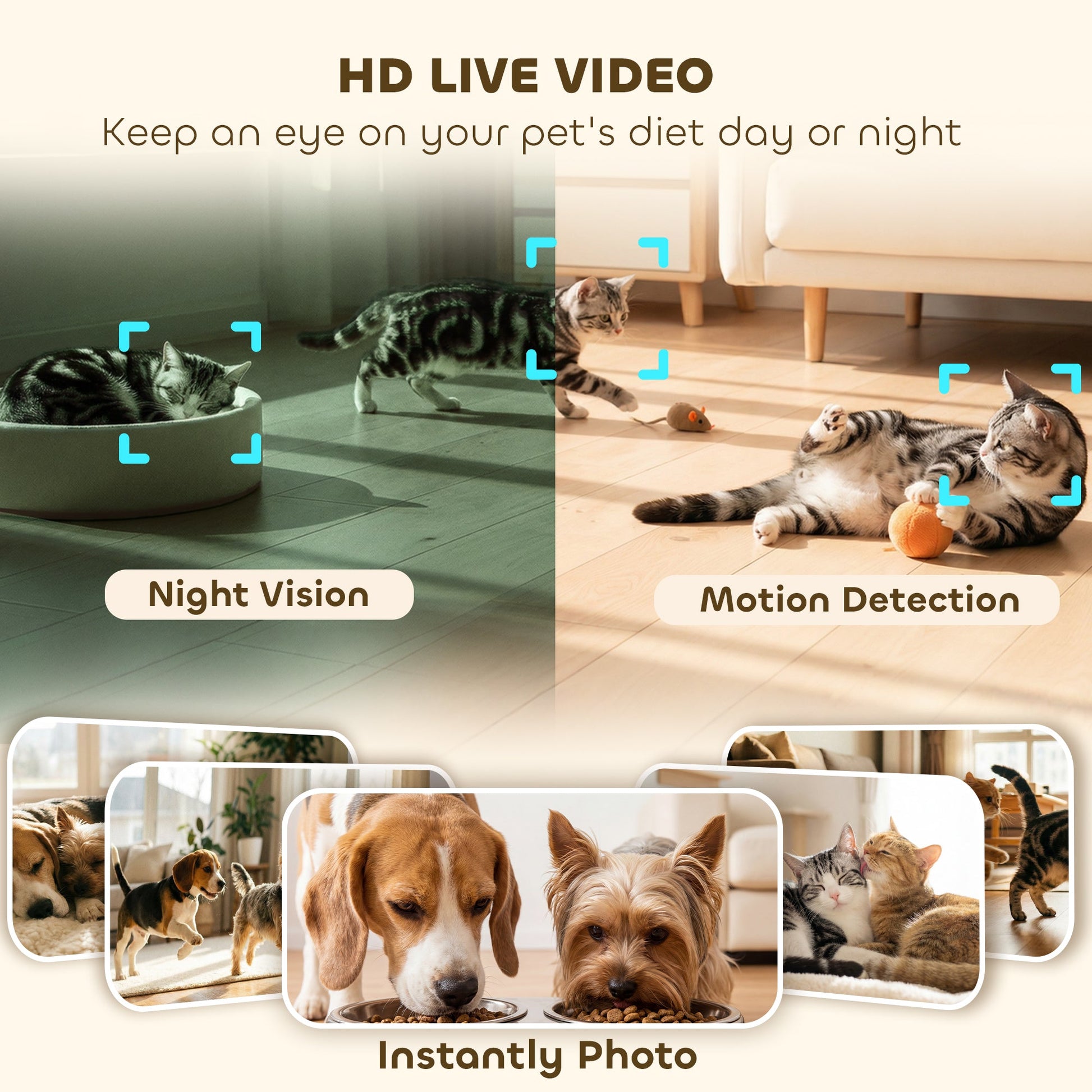 Automatic Cat Feeder with HD Camera for 2 Cats, 6L 2.4G/5G WiFi Smart Pet Food Dispenser with App Control, Timed Pet Feeder with 1-10 Meals Per Day, 10s Voice Recorder, Dual Power Supply