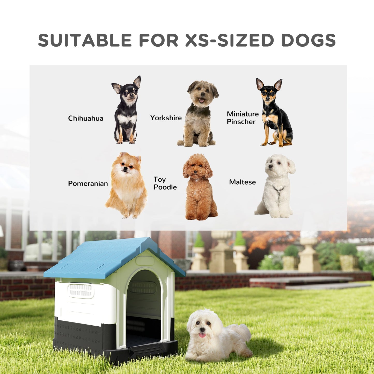 Dog Kennel for Outside, Plastic Dog House, Water-Resistant Pet Shelter with Windows, for Garden Patio, Miniature Dogs, 64.5 x 57 x 66cm - Blue