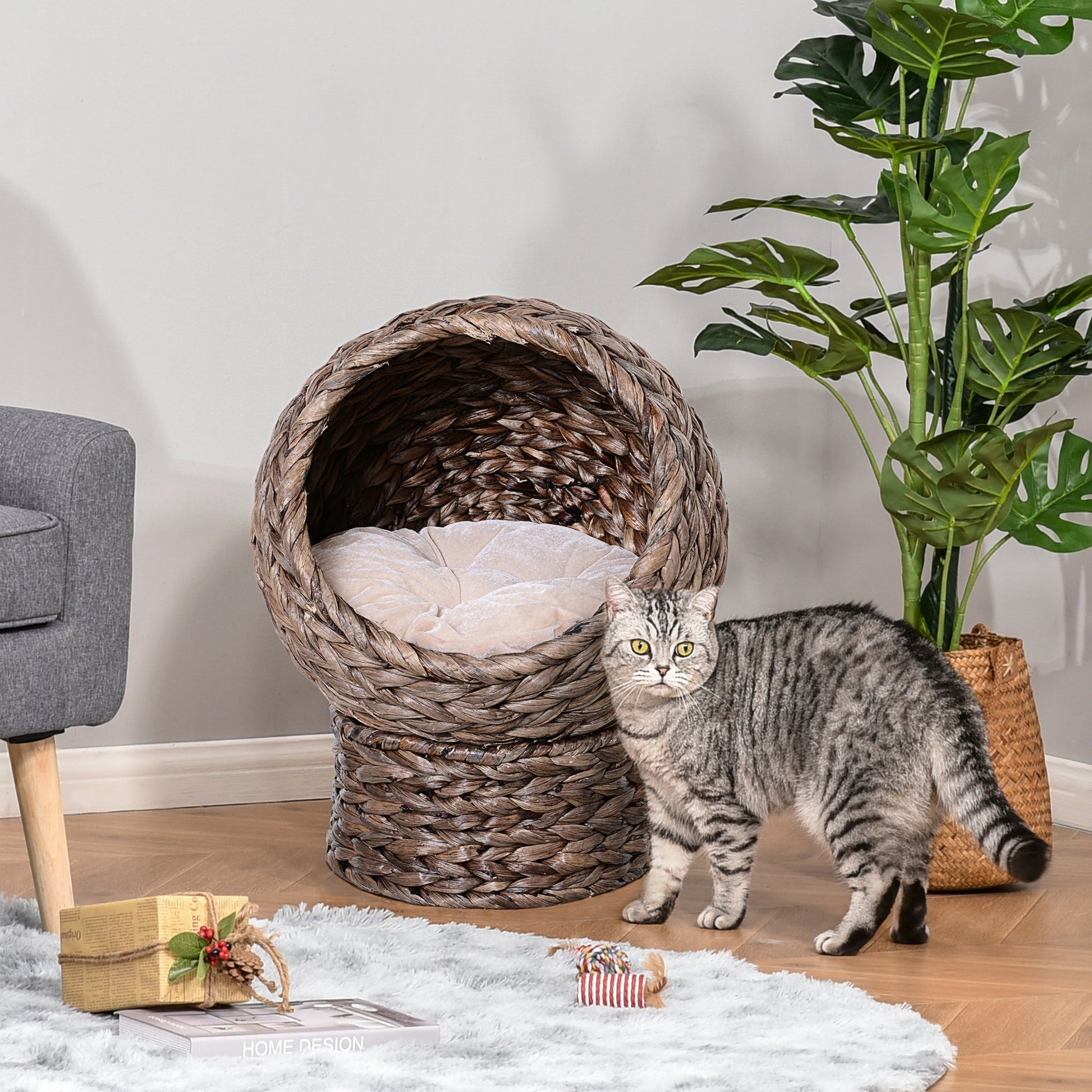 Wicker Cat House, Raised Cat Bed with Cylindrical Base, Soft Washable Cushion, Woven Water Hyacinth Cat Basket for Indoor and Outdoor, 42 x 33 x 52 cm - Dark Brown