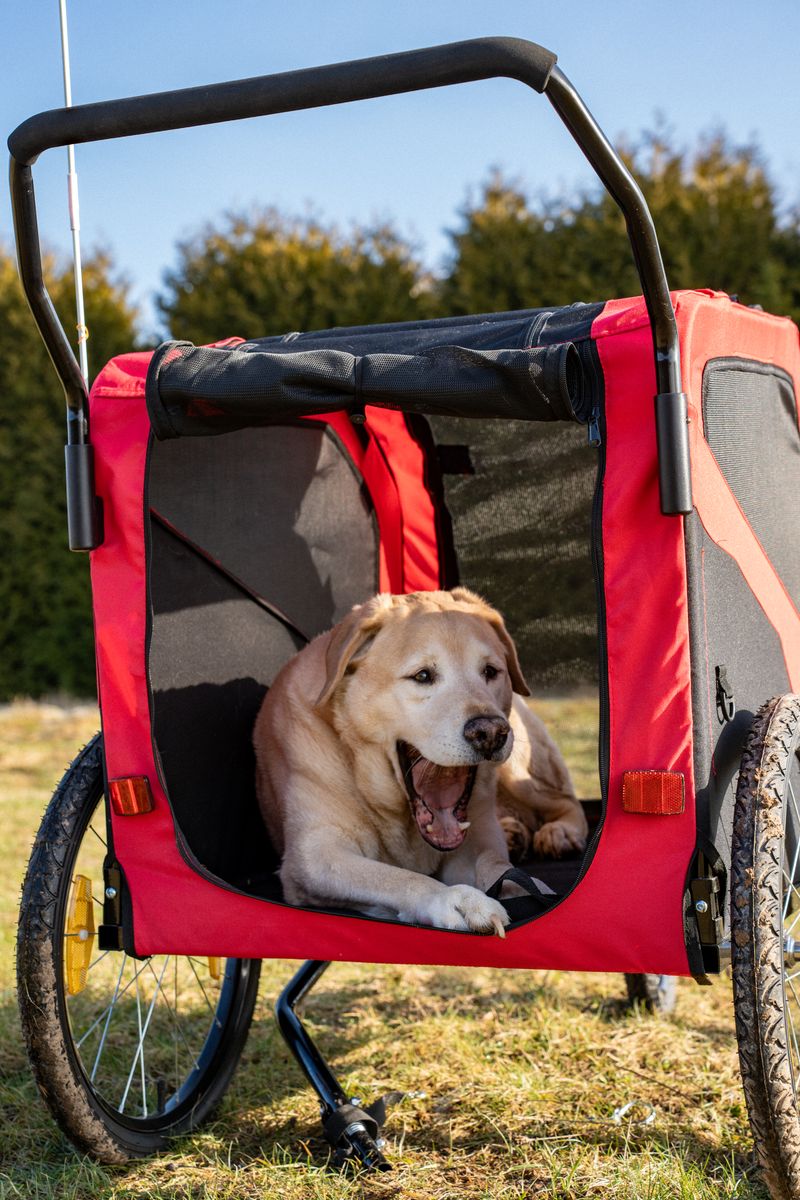 2 in 1 Dog Bike Trailer with Hitch & Quick-release Wheels Red