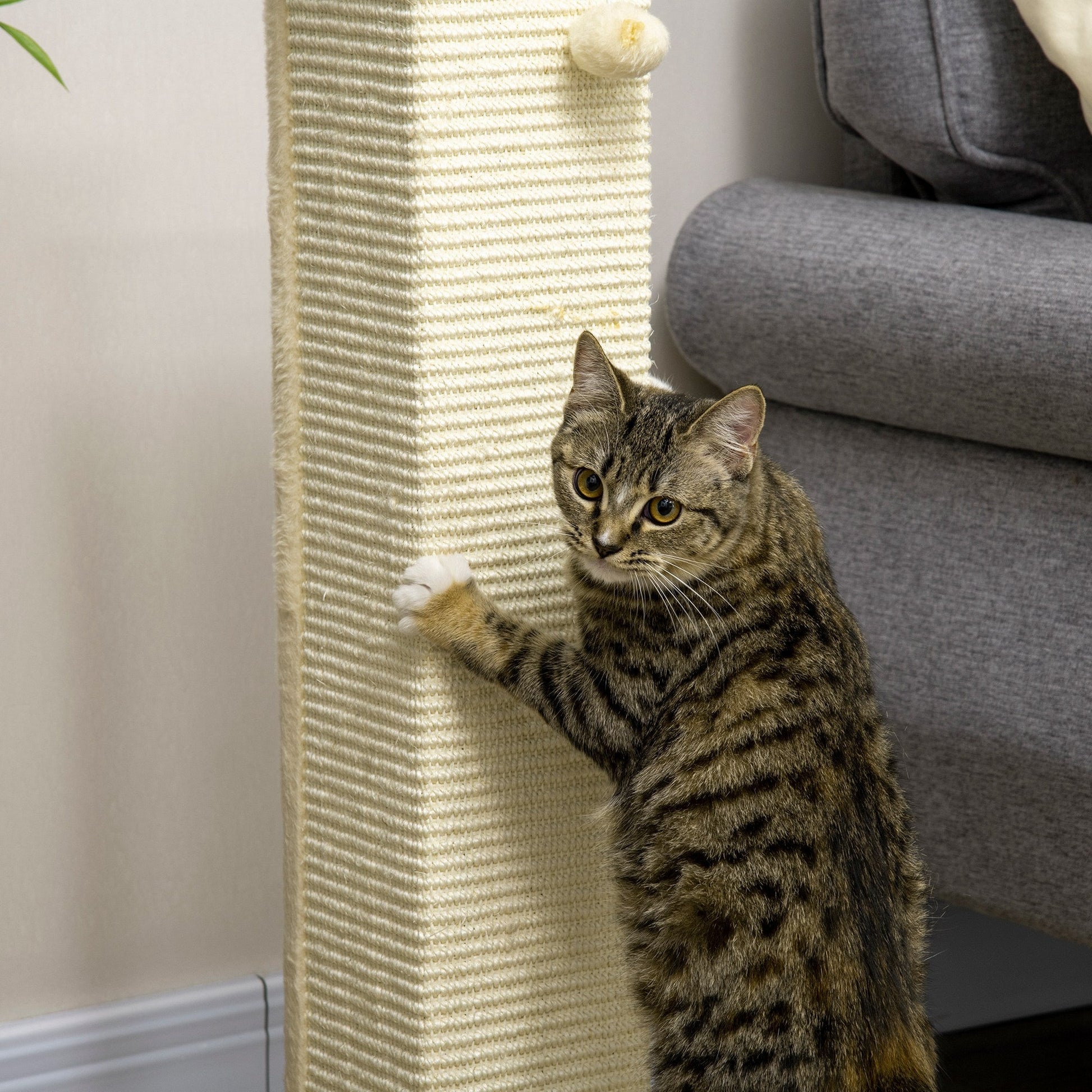 Cat Scratching Post 80cm Tall Cat Scratch Post with Hanging Ball Toy, Cat Scratcher Natural Sisal Rope