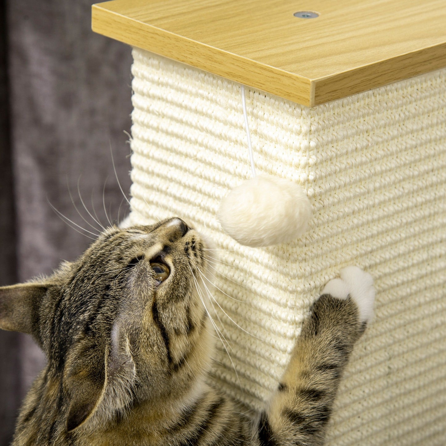 Cat Scratching Post 80cm Tall Cat Scratch Post with Hanging Ball Toy, Cat Scratcher Natural Sisal Rope