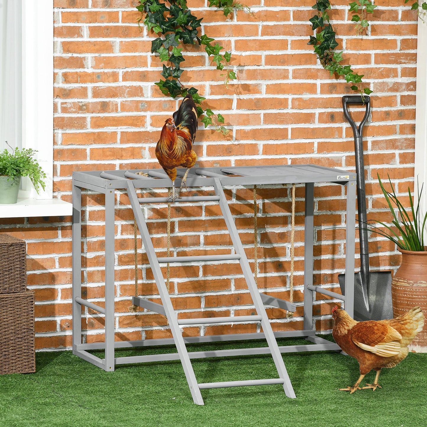 Chicken Activity Play with Swing Set, Wooden Chicken Coop Accessory with Multiple Chicken Perches & Hen Ladder for 3-4 Chickens, Grey