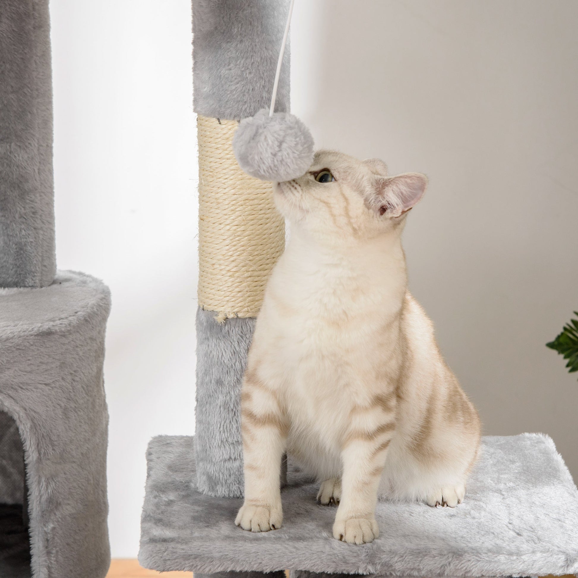 Floor to Ceiling Cat Tree, 240-260cm Adjustable Height Kitten Tower with Scratching Posts, Cat Houses, Ramps, Hammocks, Toy Balls, Tunnel for Indoor Use- Light Grey