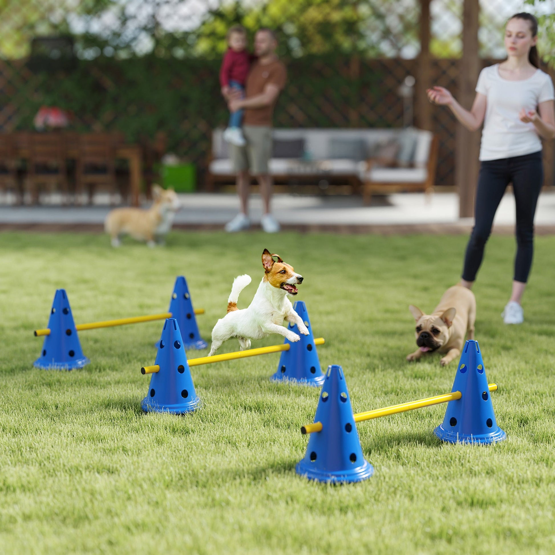 Dog Agility Equipment Set, Portable Pet Jump Training Kit for Six Cones, Six Poles with Carry Bag, Three-Piece Adjustable Height Jumping Obstacles, Blue