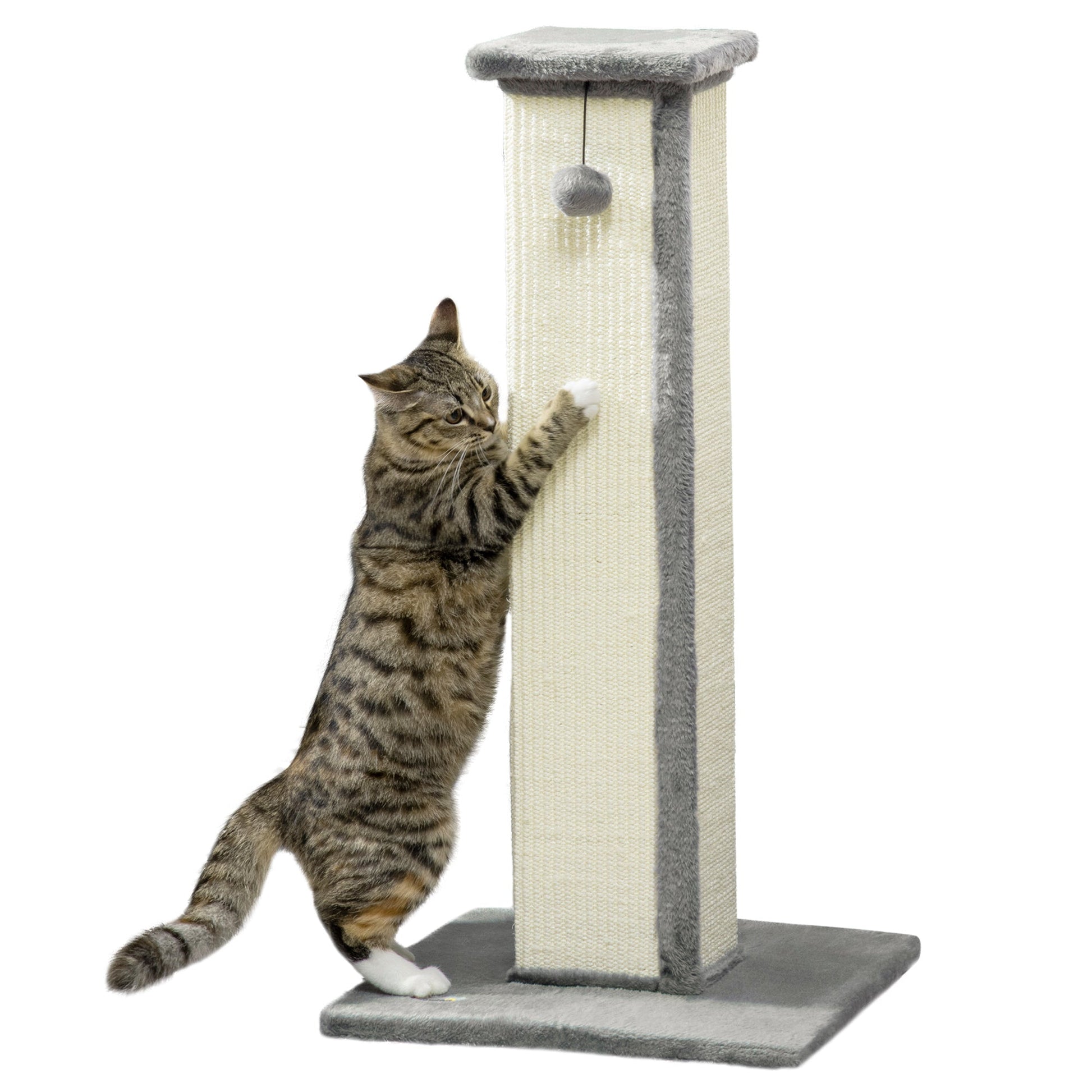 Cat Scratching Post for Indoor Cats, 81cm Cat Scratcher, Vertical Full Scratcher with Natural Sisal Rope, Hanging Ball and Soft Plush, Grey
