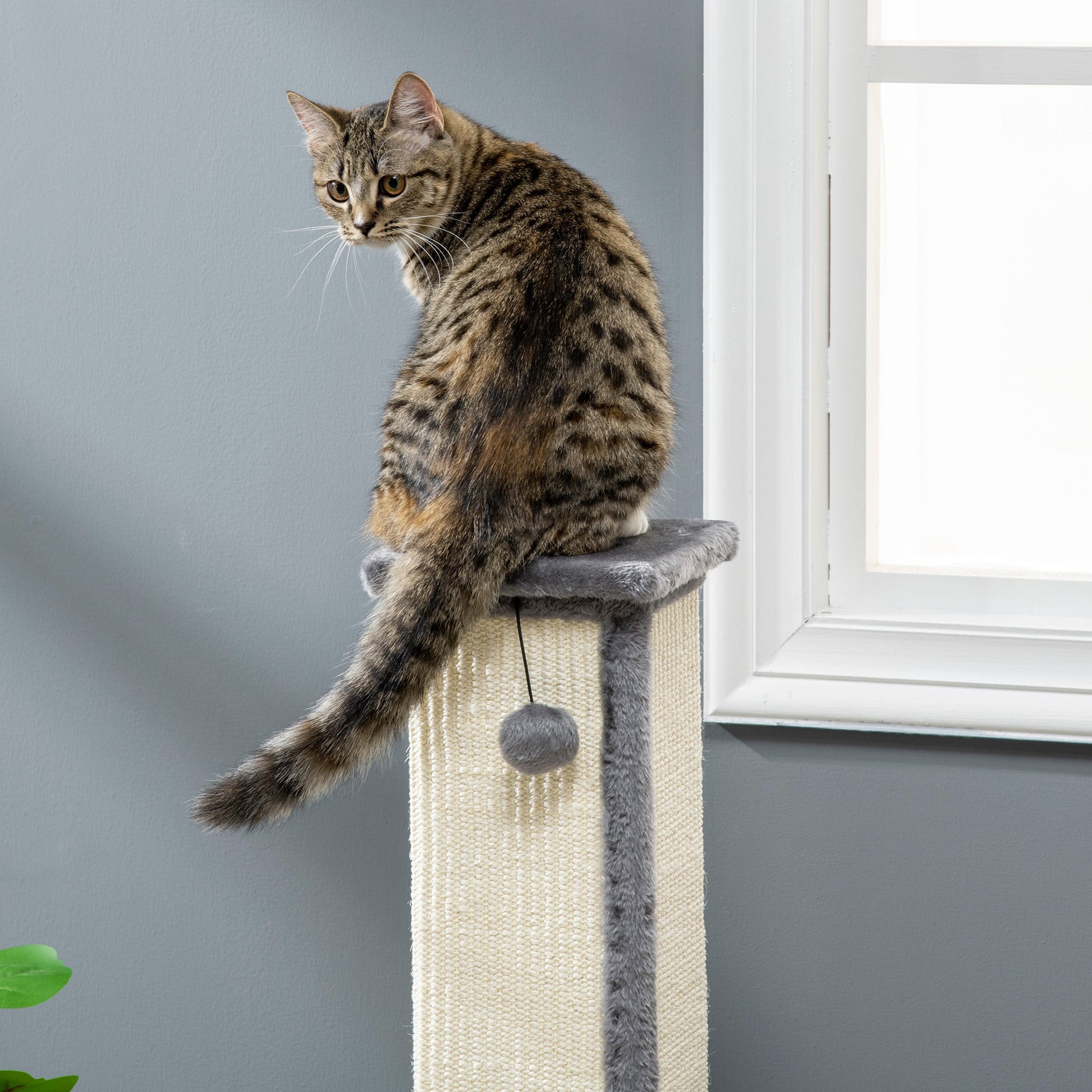 Cat Scratching Post for Indoor Cats, 81cm Cat Scratcher, Vertical Full Scratcher with Natural Sisal Rope, Hanging Ball and Soft Plush, Grey