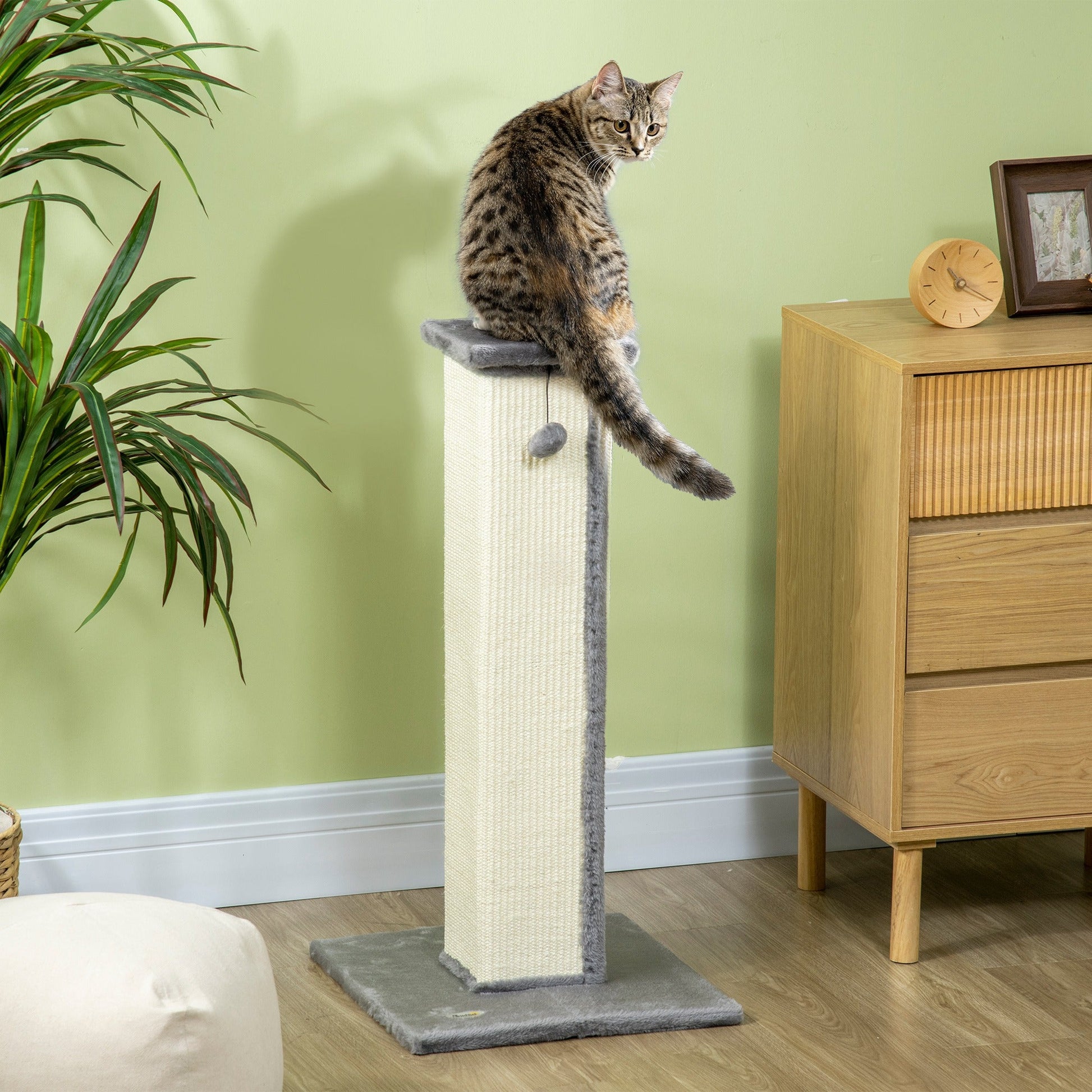 Cat Scratching Post for Indoor Cats, 81cm Cat Scratcher, Vertical Full Scratcher with Natural Sisal Rope, Hanging Ball and Soft Plush, Grey
