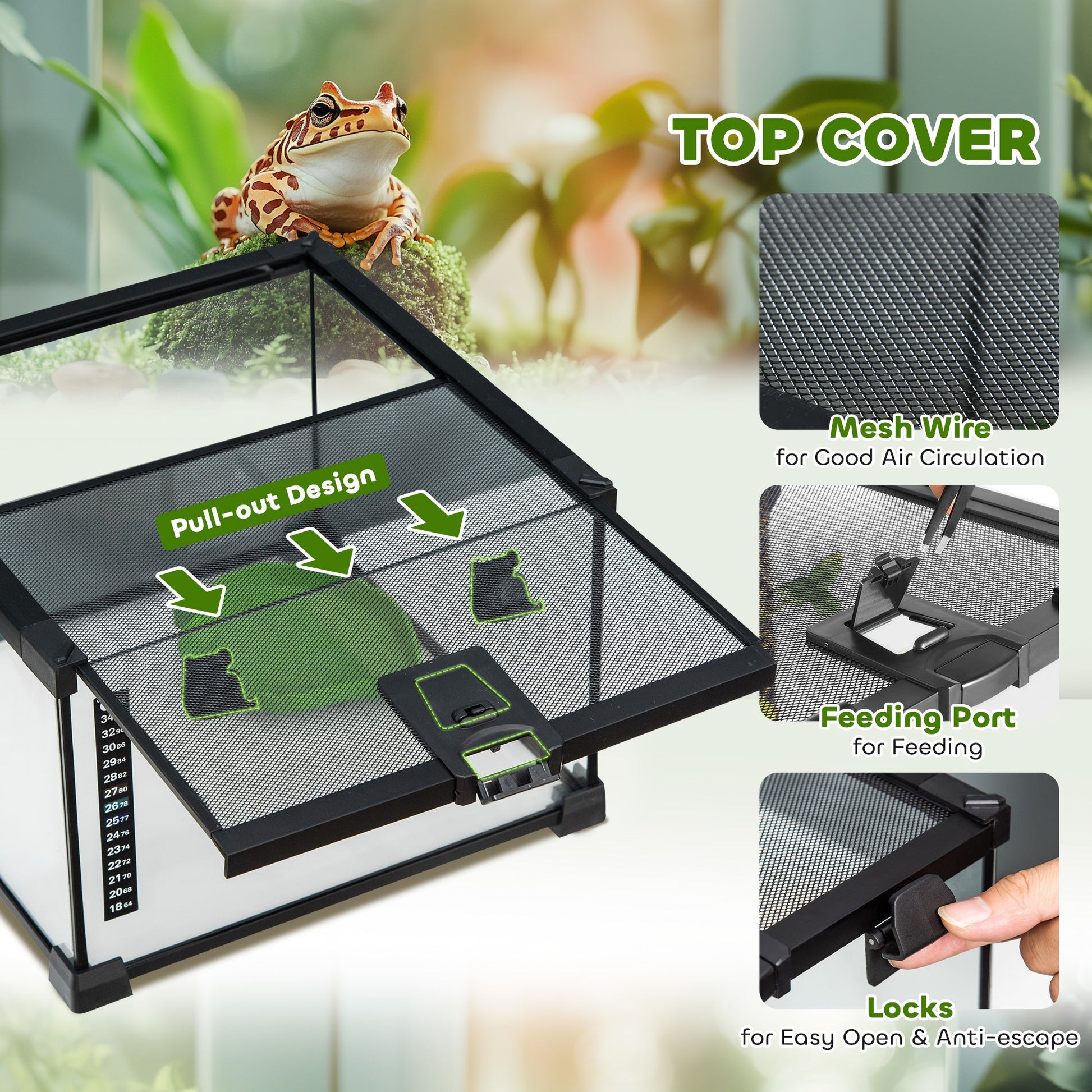 Glass Reptile Terrarium Insect Breeding Tank Vivarium Habitats with Thermometer for Lizards, Horned Frogs, Snakes, Spiders - Small 30 x 30 x 20cm