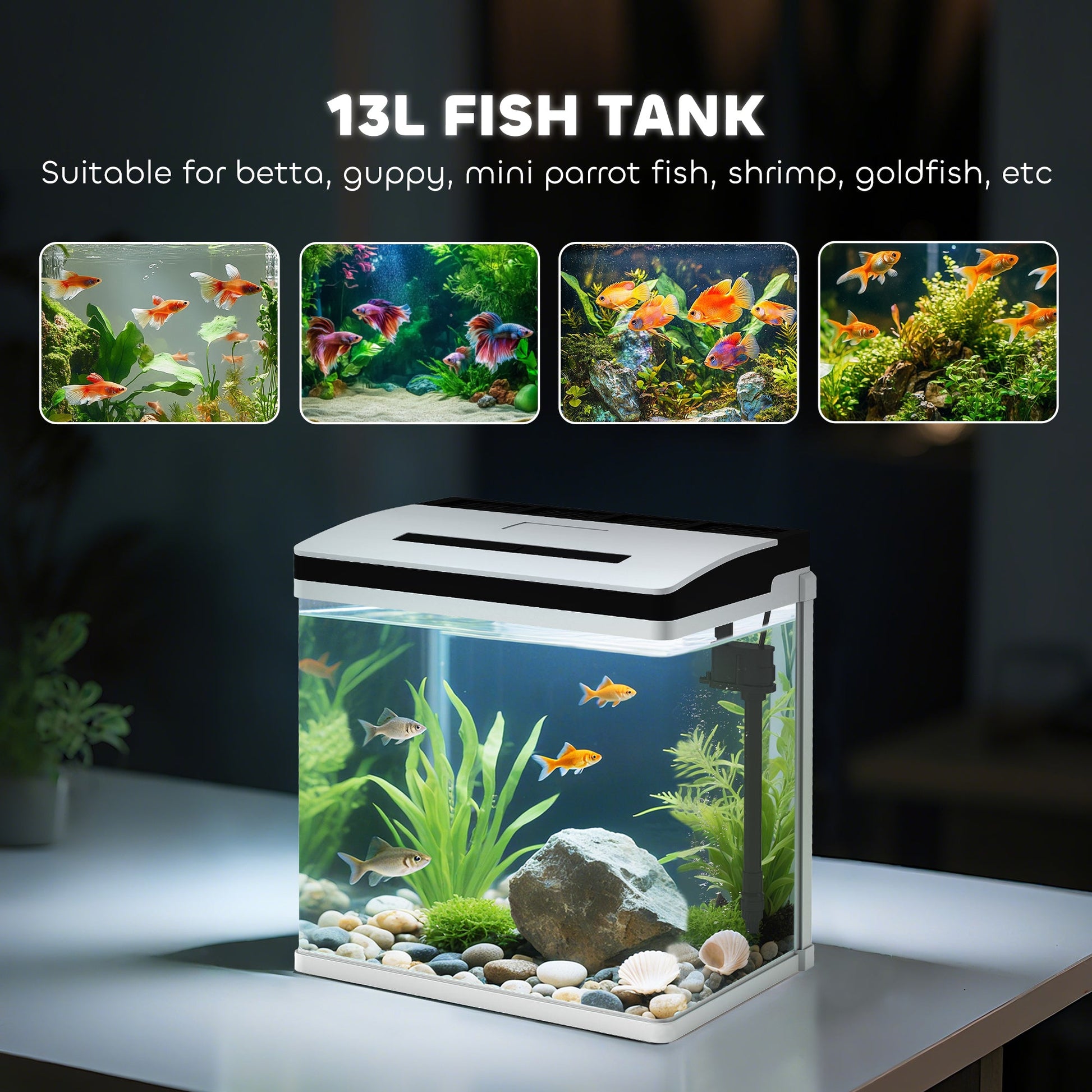 Aquarium, 13L Glass Fish Tank with Filter, LED Lighting, Water Pump, for Bettas, Guppies, Mini Parrot Fishes, Shrimp, Goldfish, 29 x 20 x 30.5cm