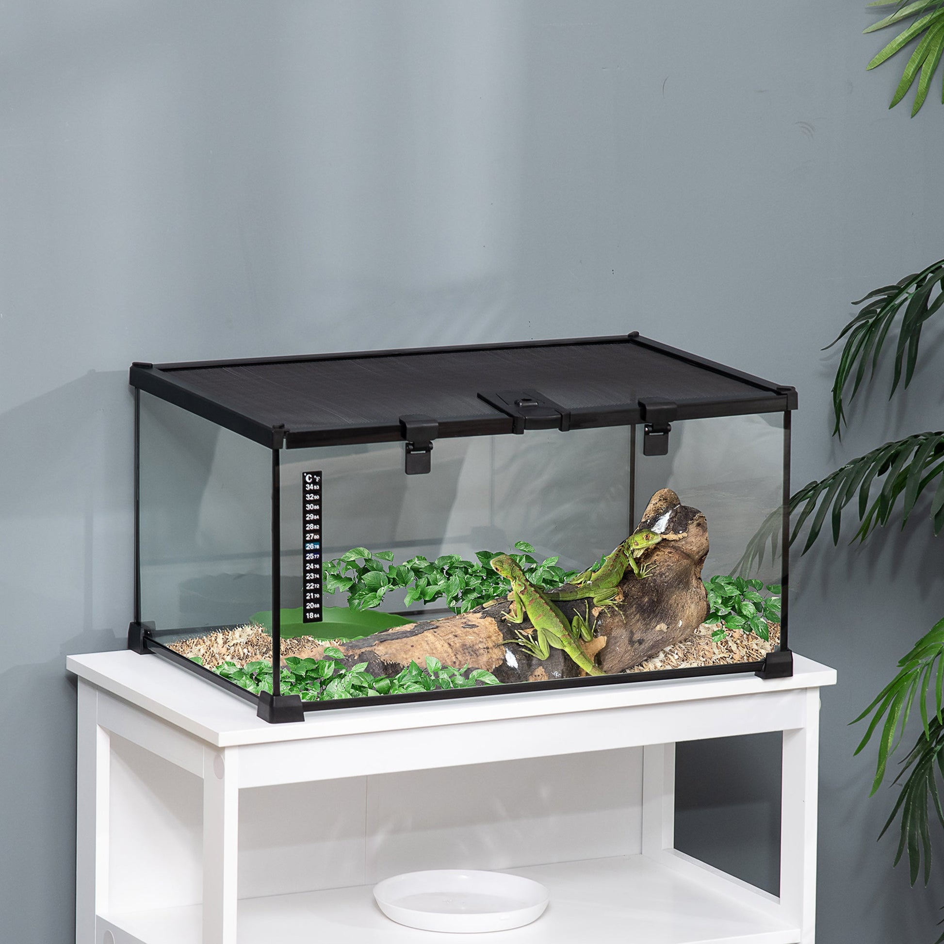 Glass Reptile Terrarium Insect Breeding Tank Vivarium Habitats with Thermometer for Lizards, Horned Frogs, Snakes, Spiders - Medium 50 x 30 x 25cm