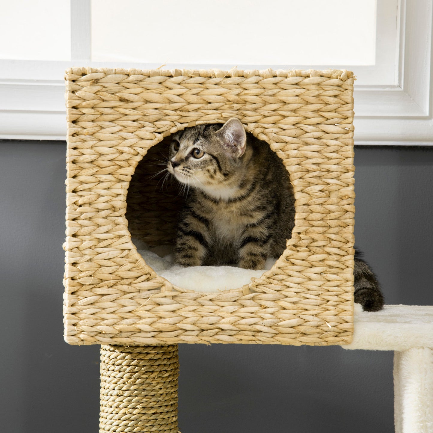 Flower Cat Tree for Indoor Cats Kitten Tower Cattail Weave with Scratching Posts, Cat House, Bed, Ladder, Washable Cushions, 57 x 37 x 100.5 cm - Natural Finish