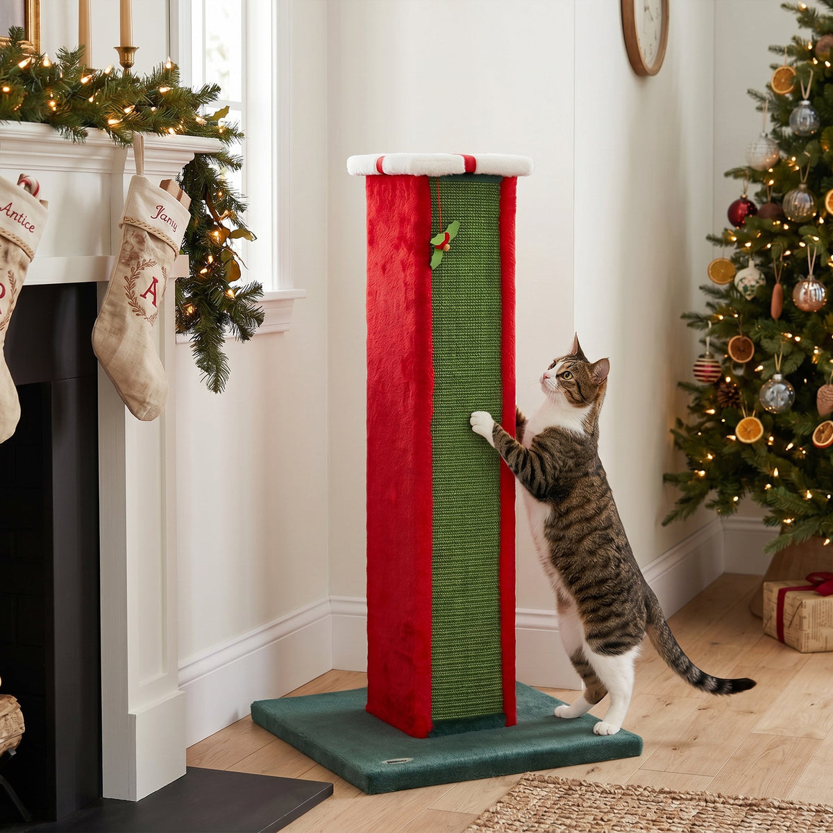 Cat Scratching Post for Indoor Cats, 81cm Tall Cat Scratcher with Sisal Rope, Hanging Bell Toy and Stable Base, Green and Red