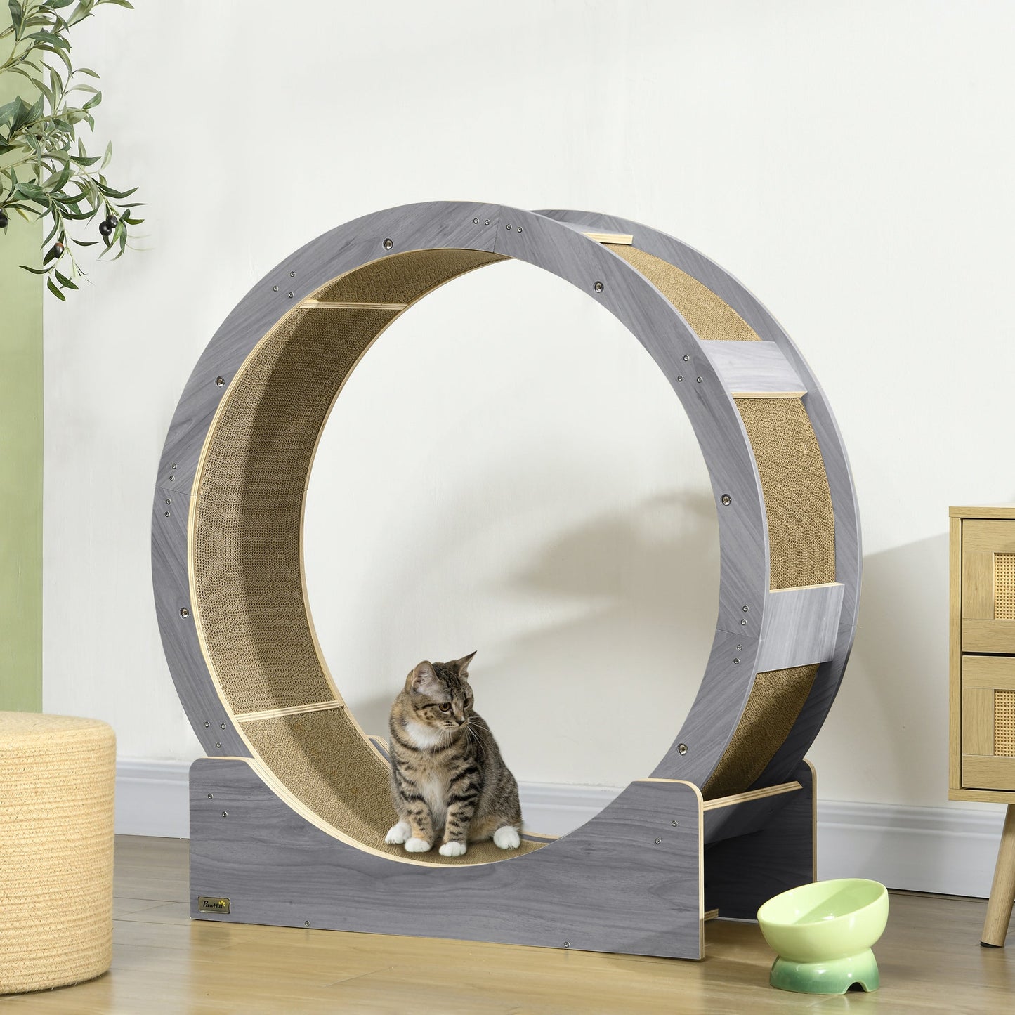 Cat Wheel for Indoor Cats, Cat Treadmill with Brake, Scratching Pads, Cat Exercise Wheel for Health - Grey