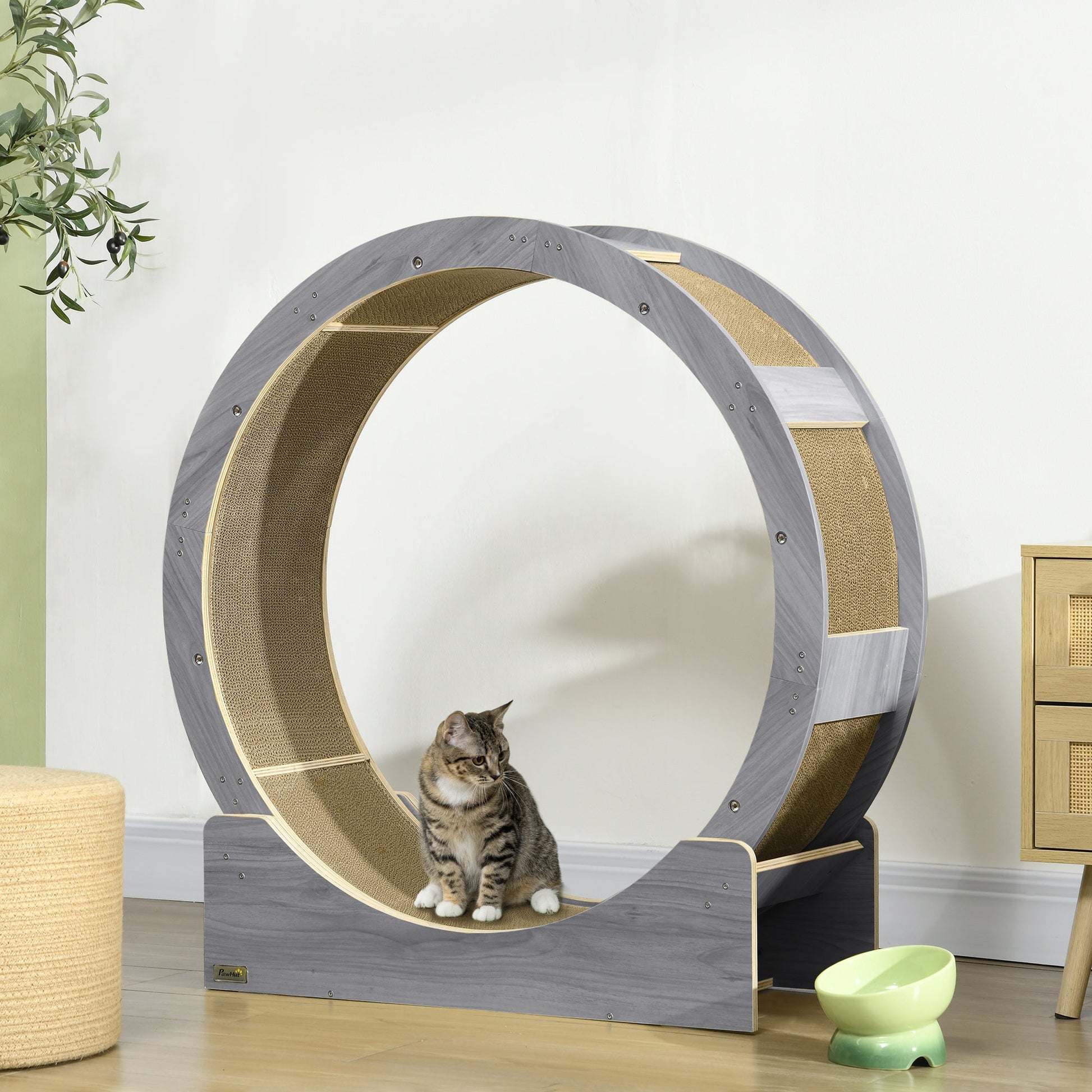 Cat Wheel for Indoor Cats, Cat Treadmill with Brake, Scratching Pads, Cat Exercise Wheel for Health - Grey