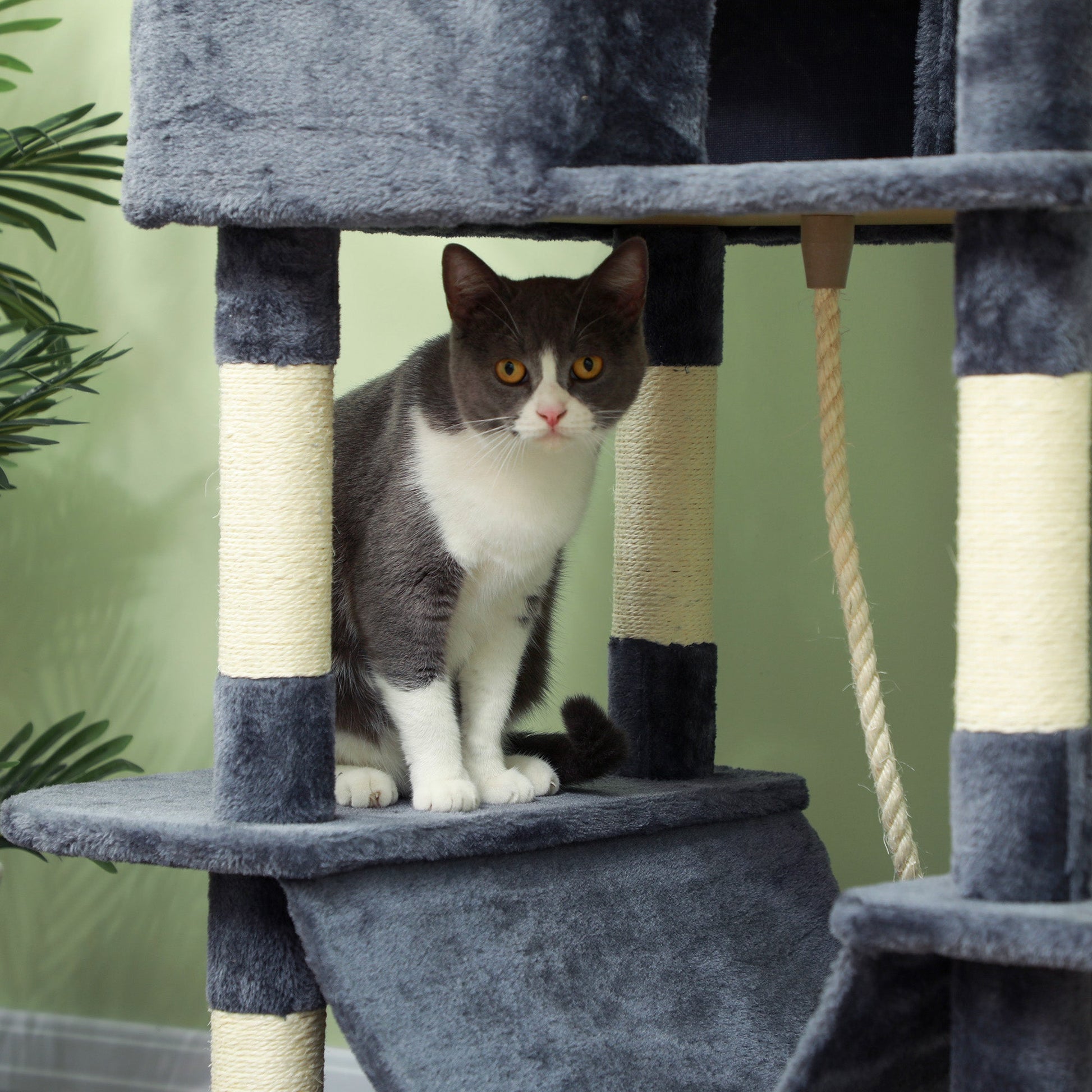 Cat Tree, 206cm Cat Tower with Sisal Scratching Posts and Board, Beds, Condos, Platforms, Hammocks, Toy Balls & Rope, Anti-Tip Kit, Kitten Activity Centre for Indoor, Dark Grey